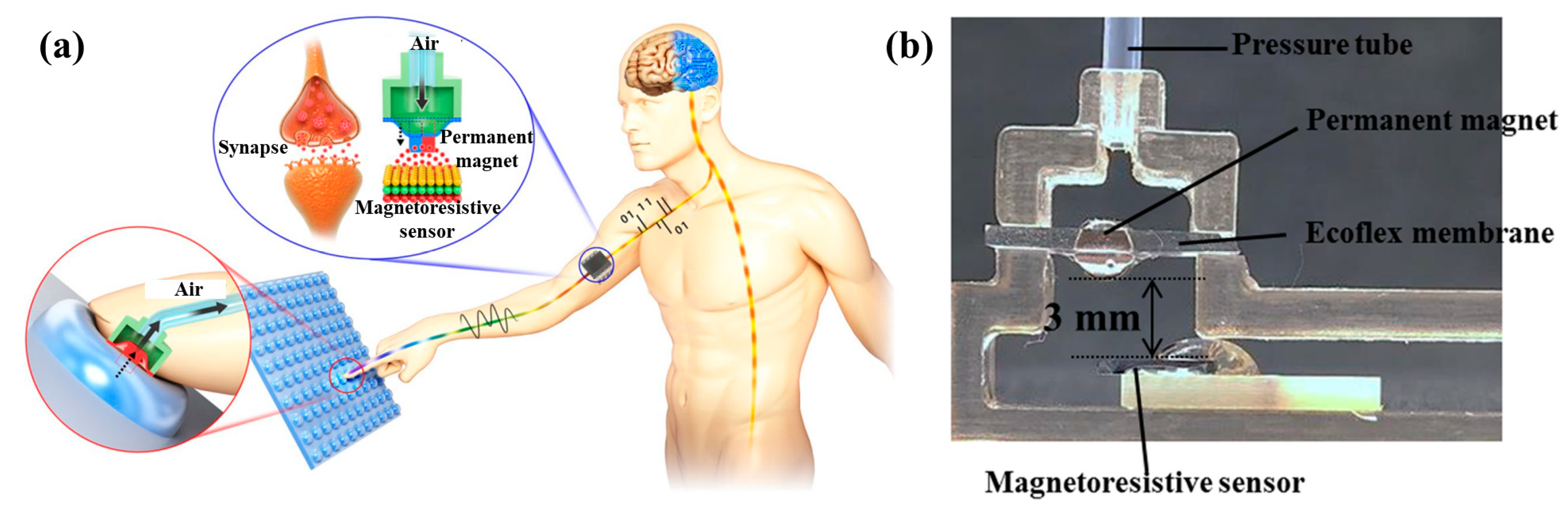 Biosensors 12 01054 g015