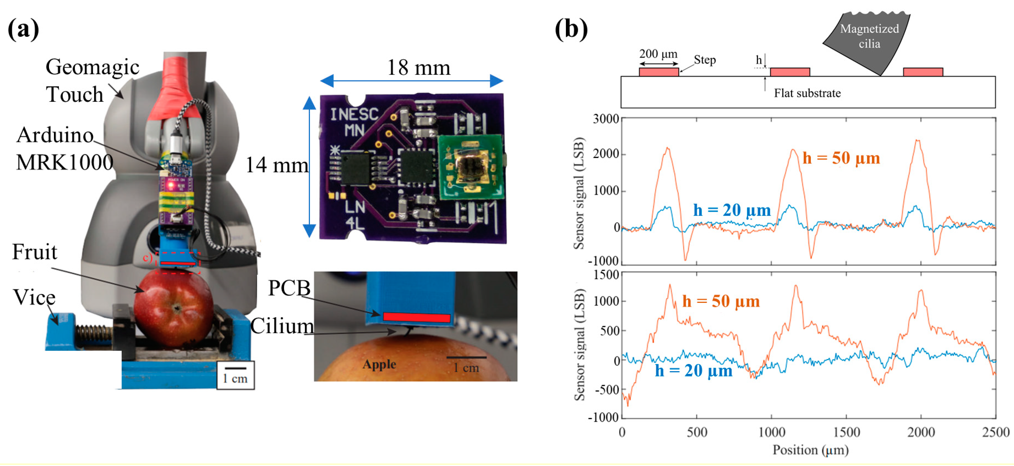 Biosensors 12 01054 g016