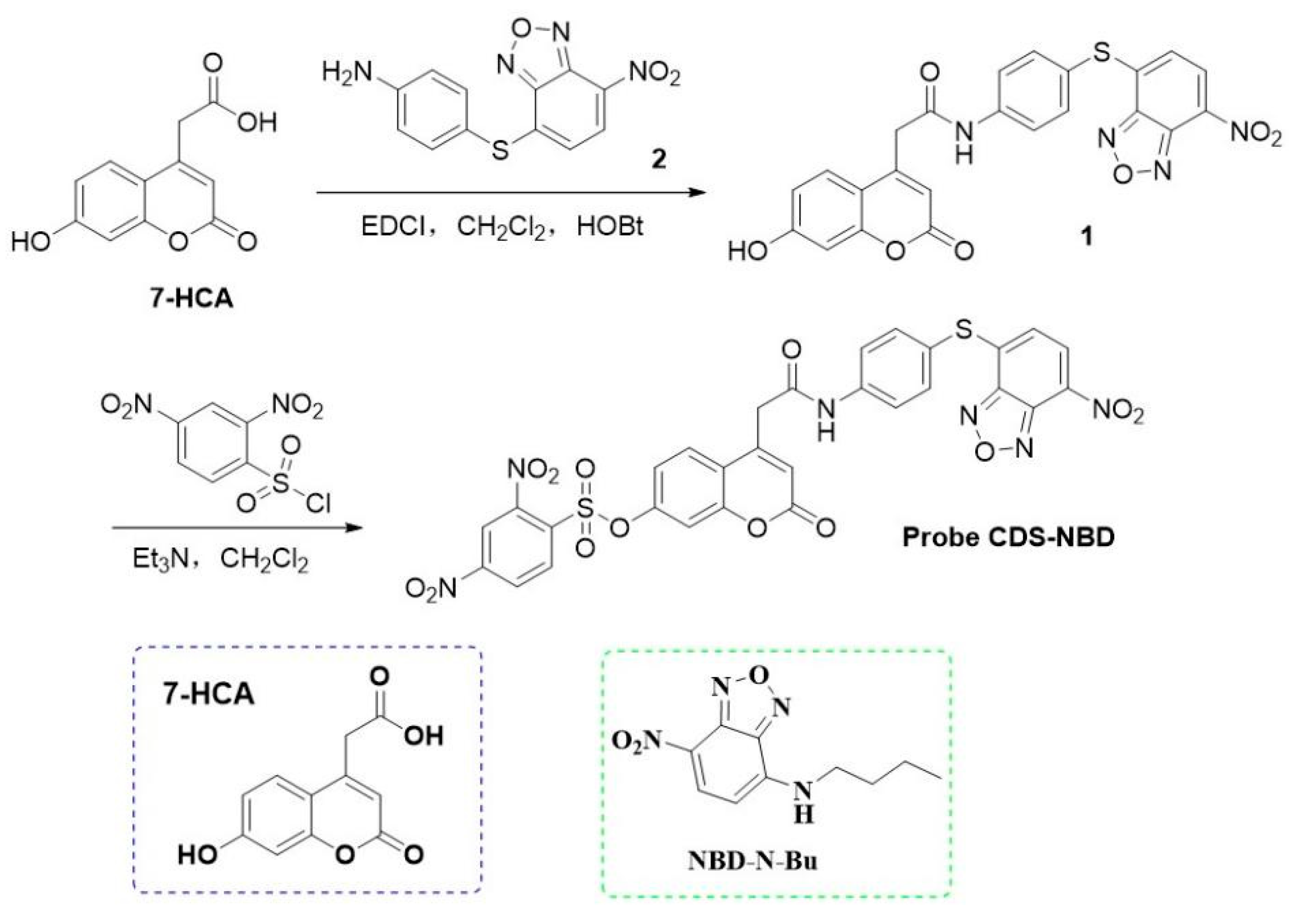 Biosensors 12 01056 sch001