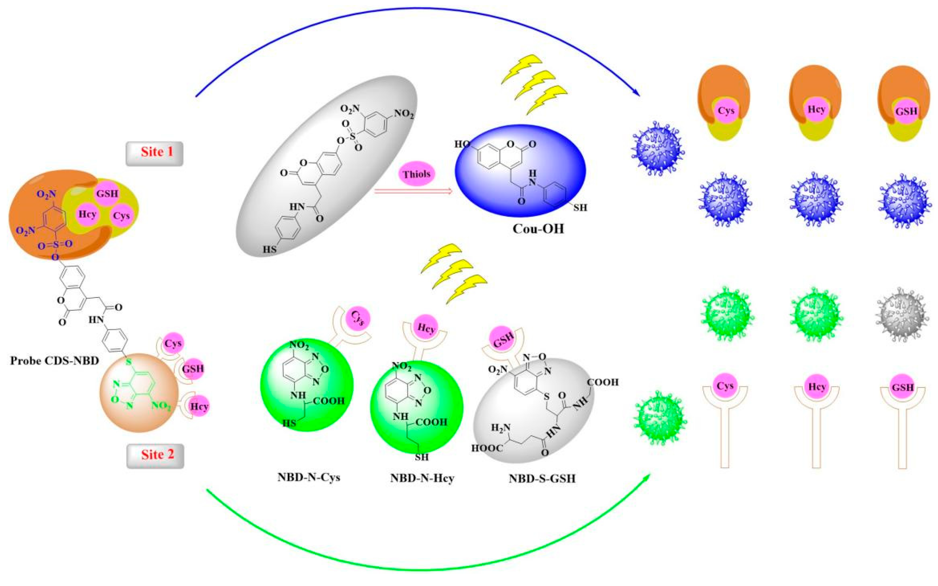 Biosensors 12 01056 sch002