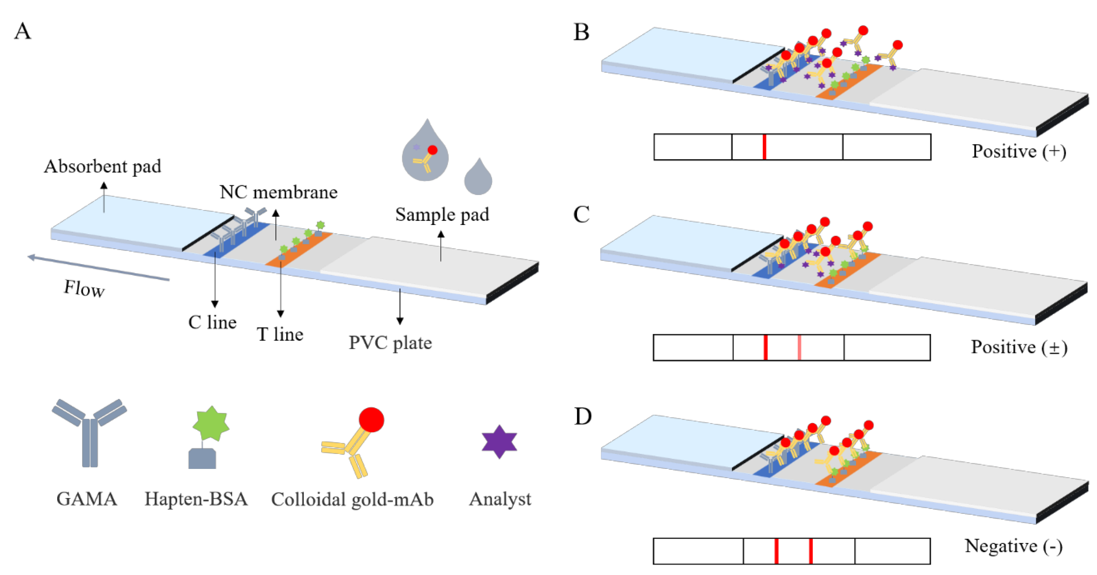 Biosensors 12 01058 g001