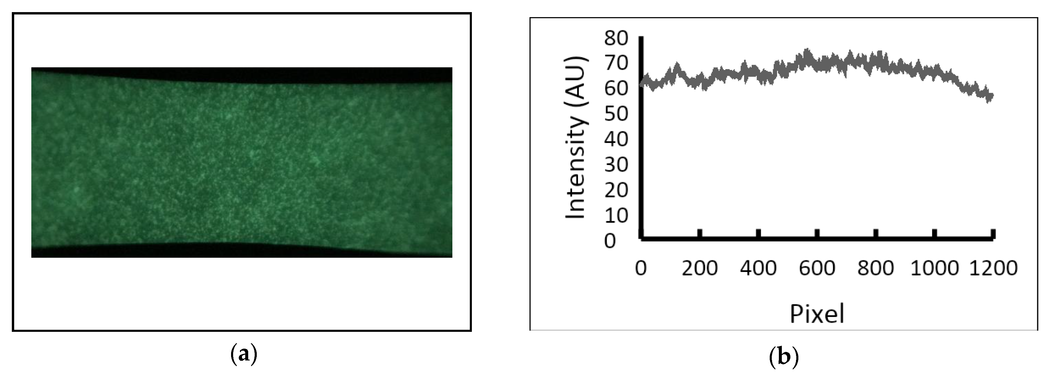 Biosensors 12 01060 g008