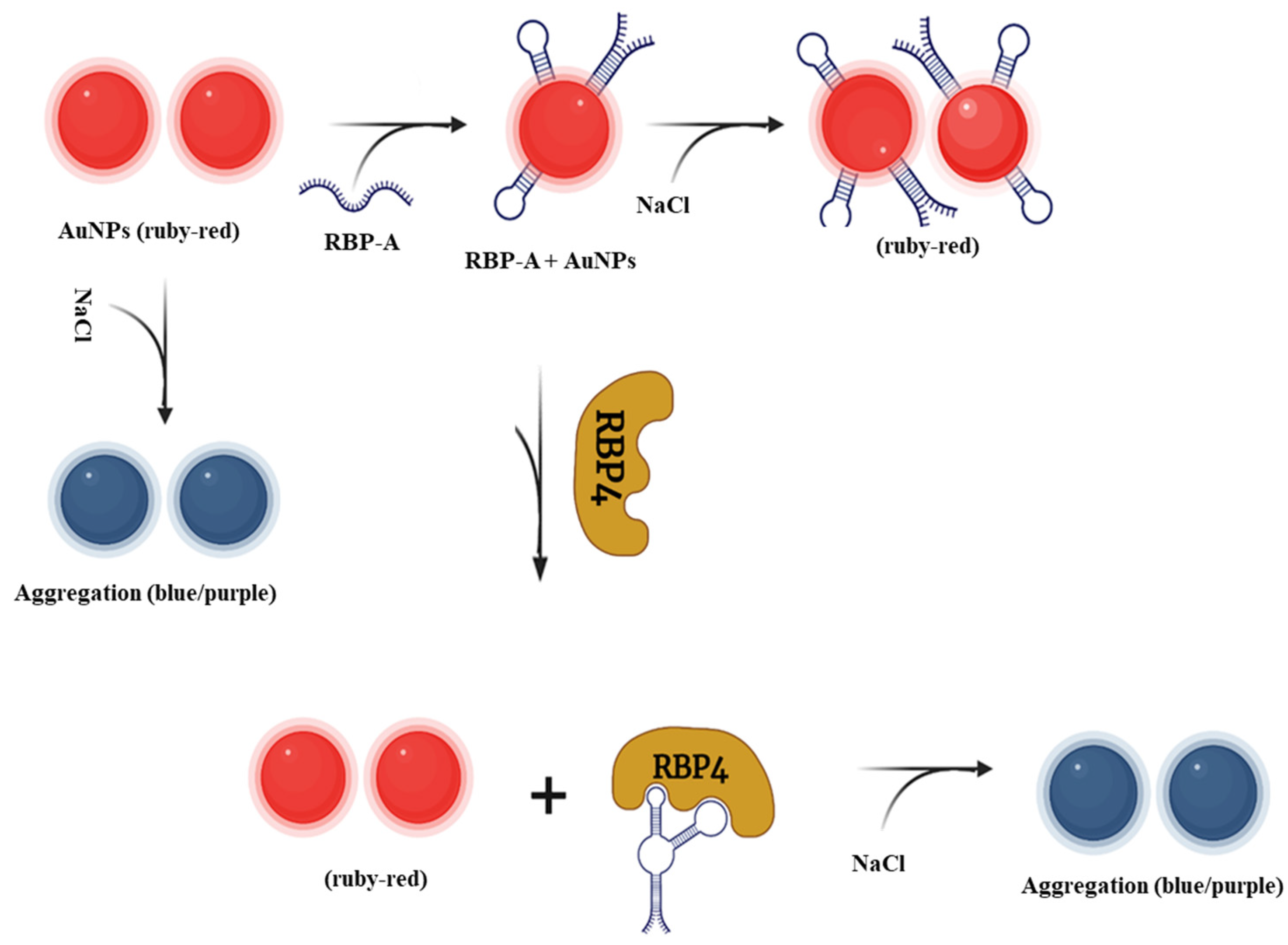 Biosensors 12 01061 g002