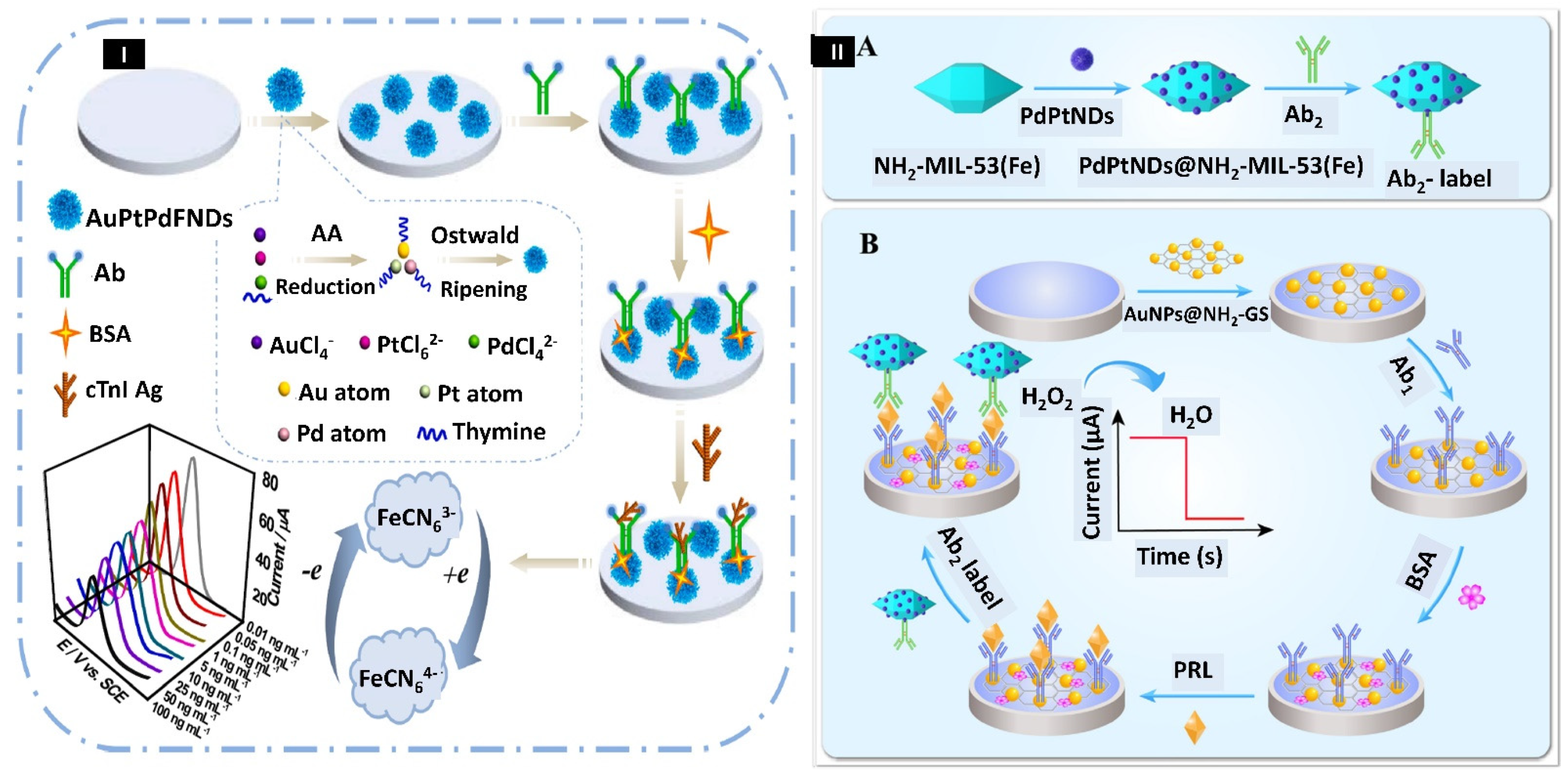 Biosensors 12 01062 g004
