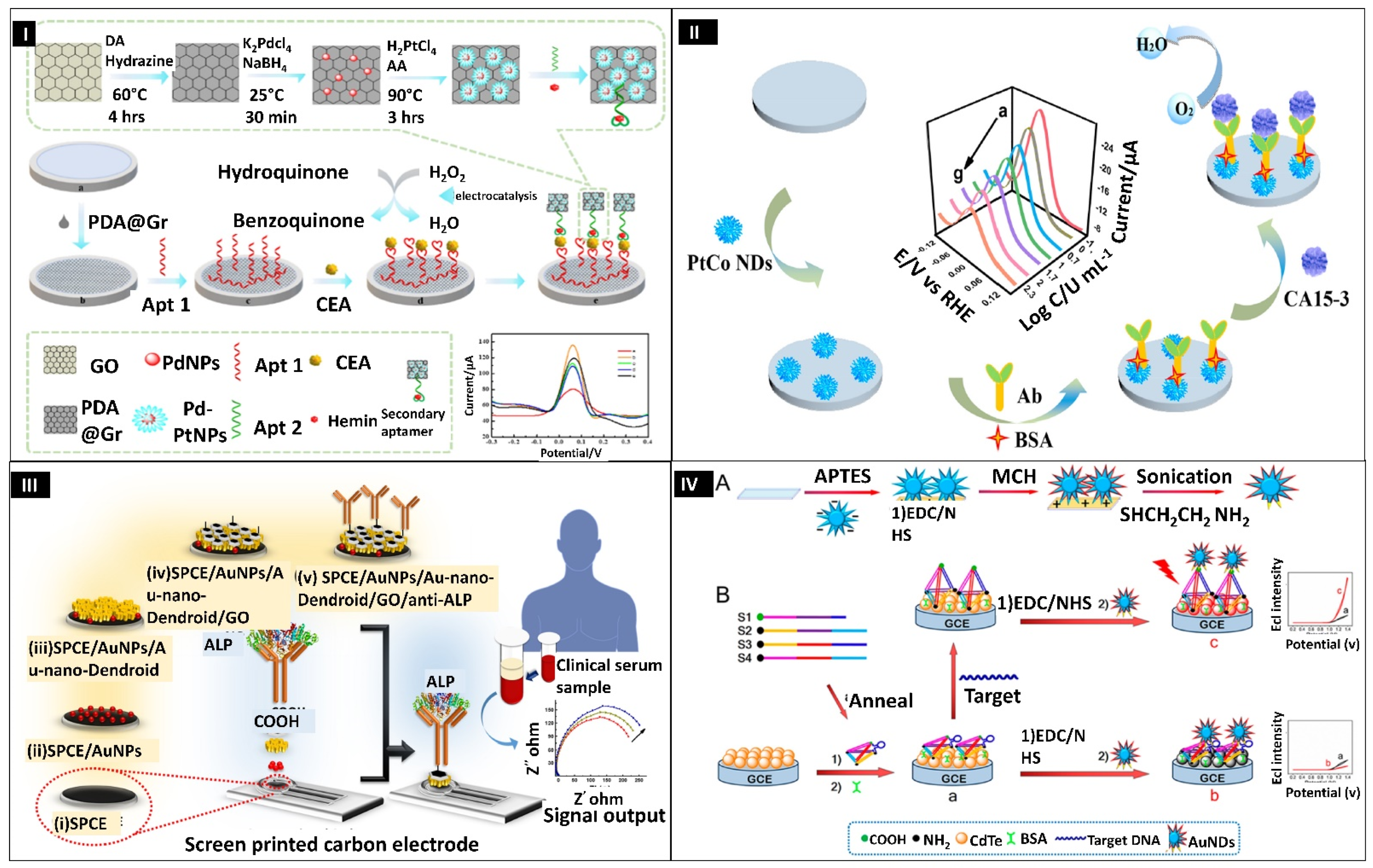 Biosensors 12 01062 g005