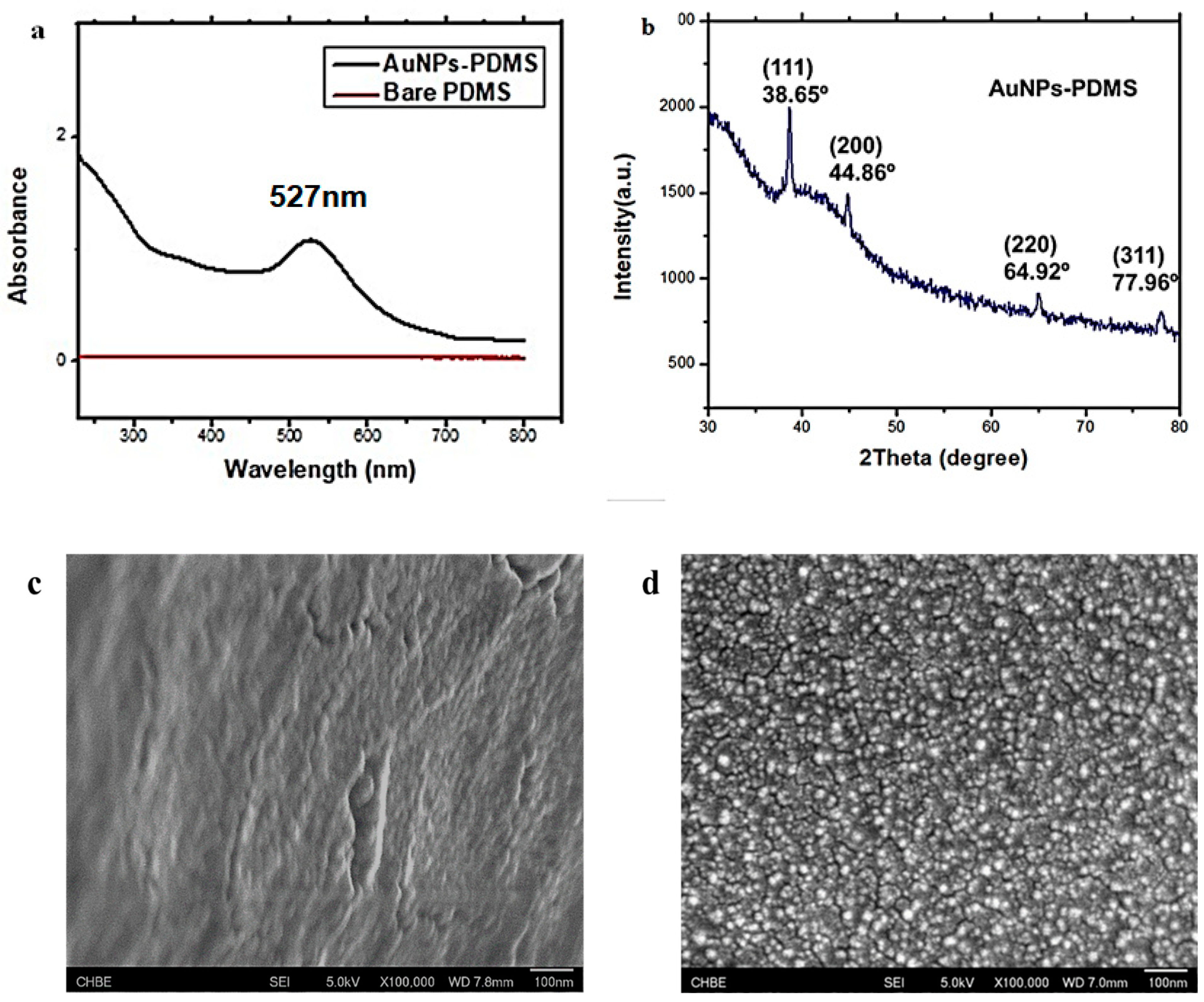 Biosensors 12 01067 g002