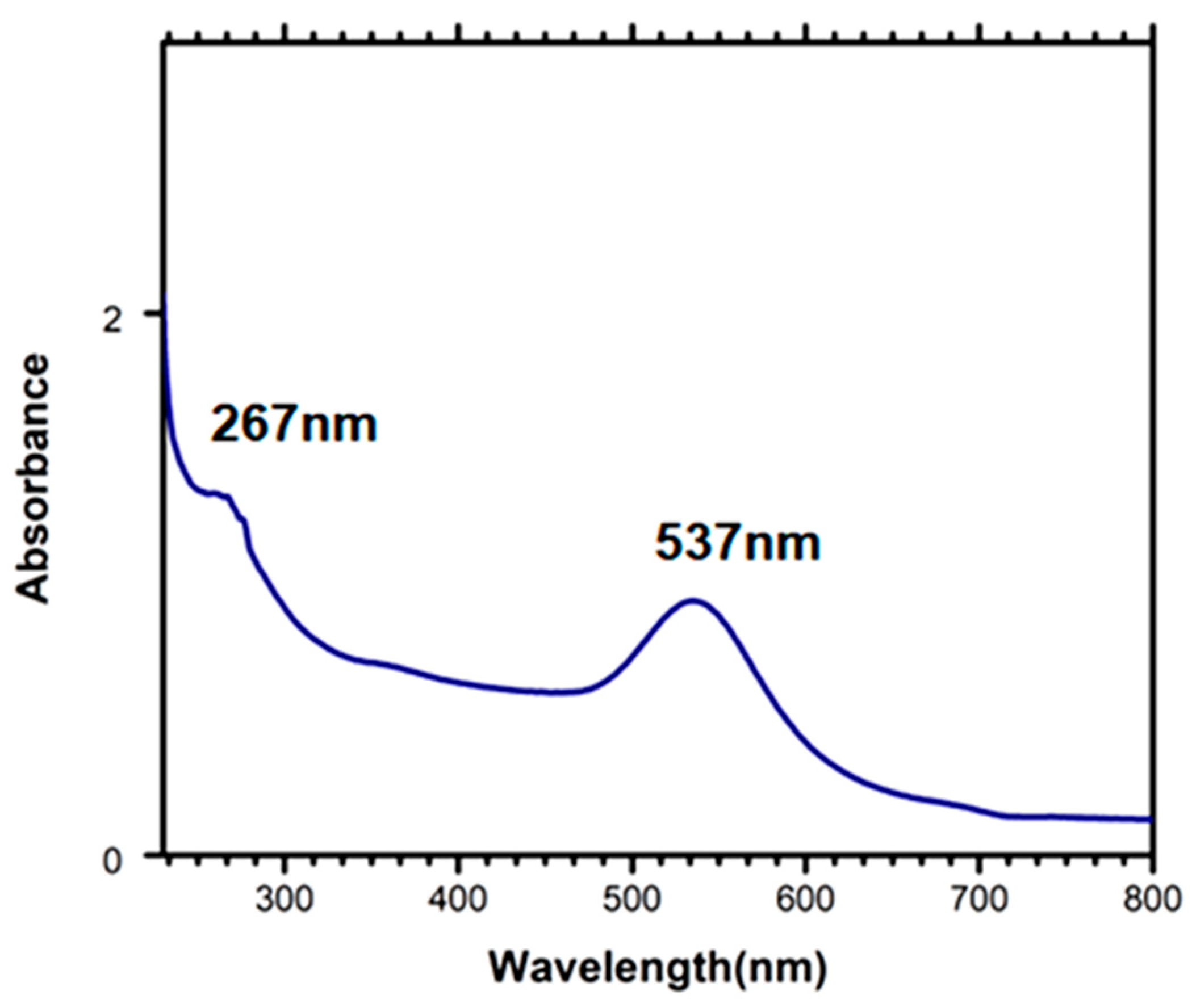 Biosensors 12 01067 g003