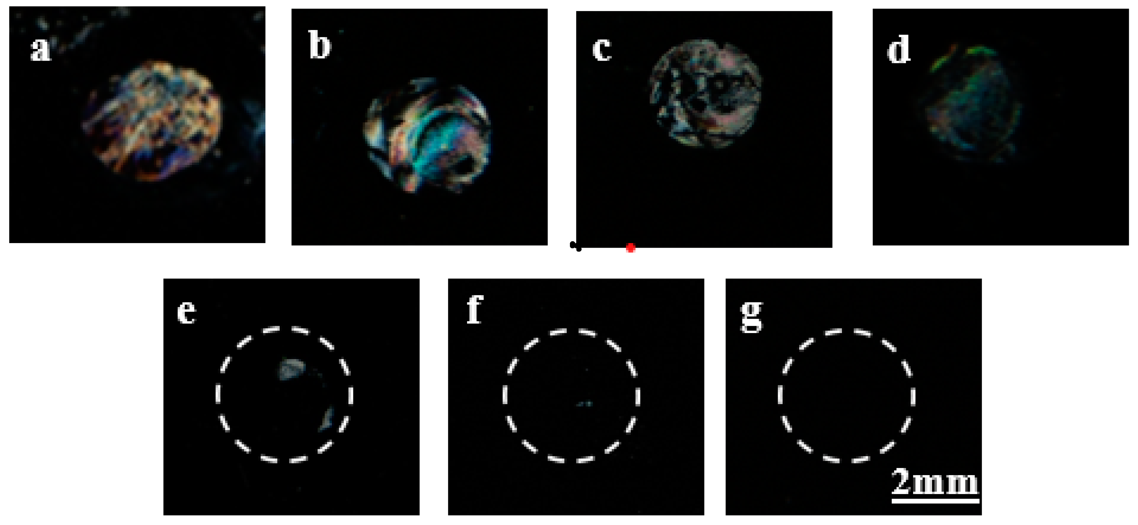 Biosensors 12 01067 g005