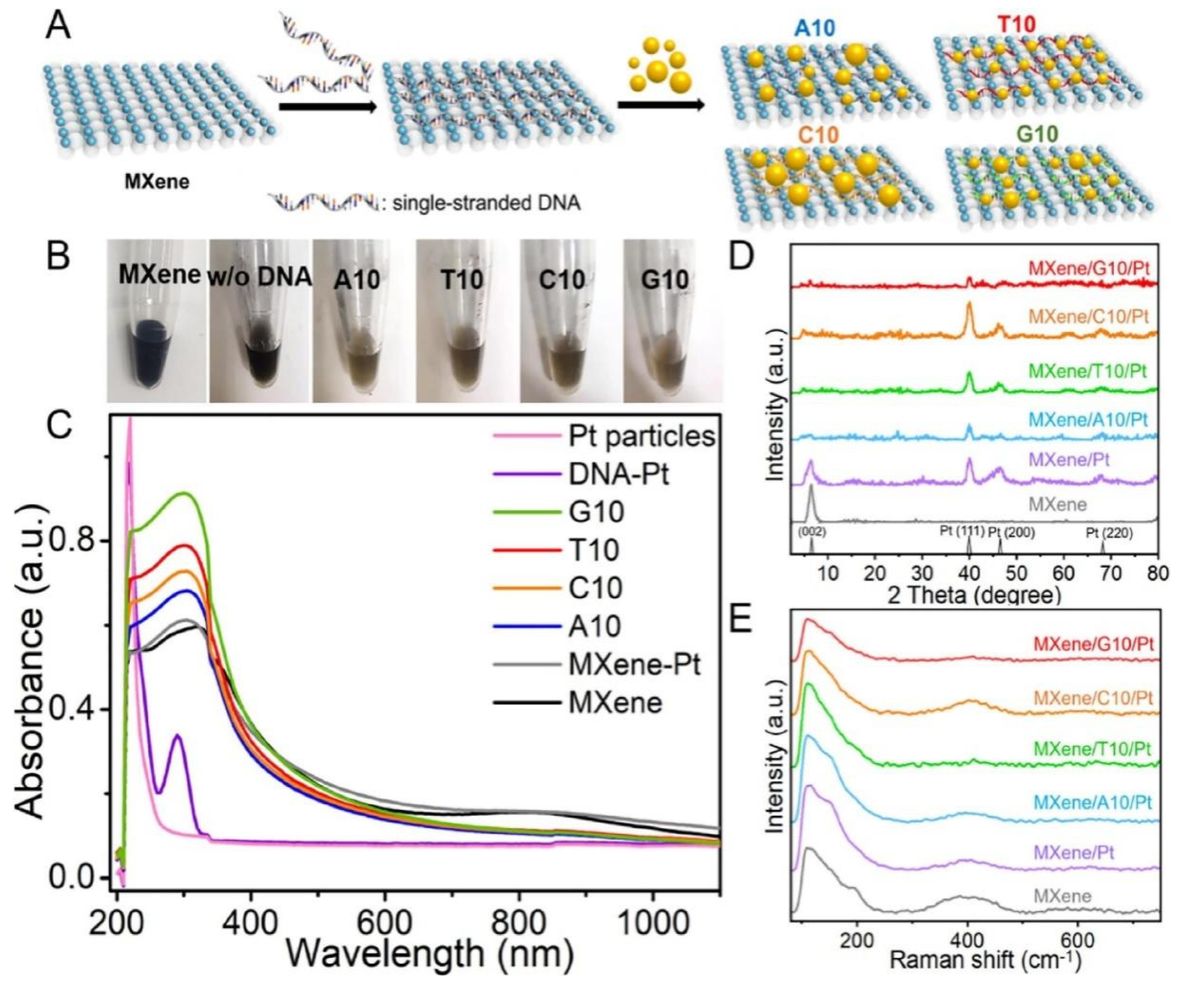 Biosensors 12 01072 g004