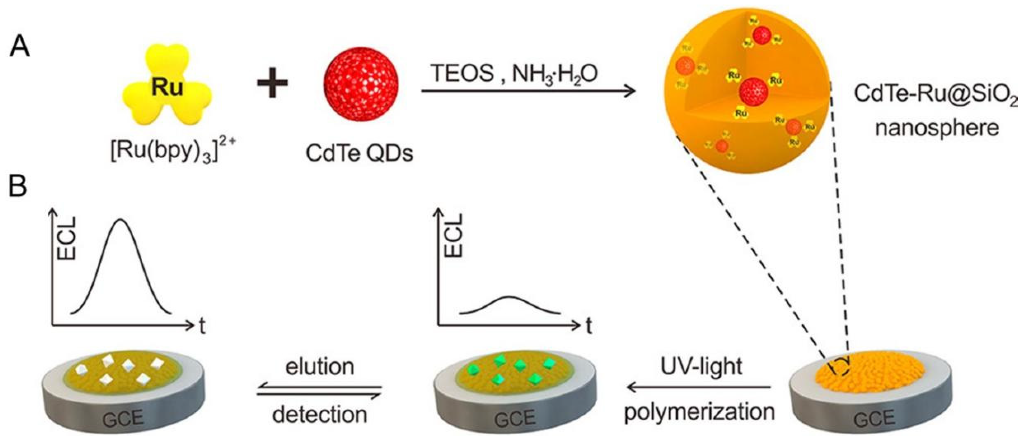 Biosensors 12 01072 g005