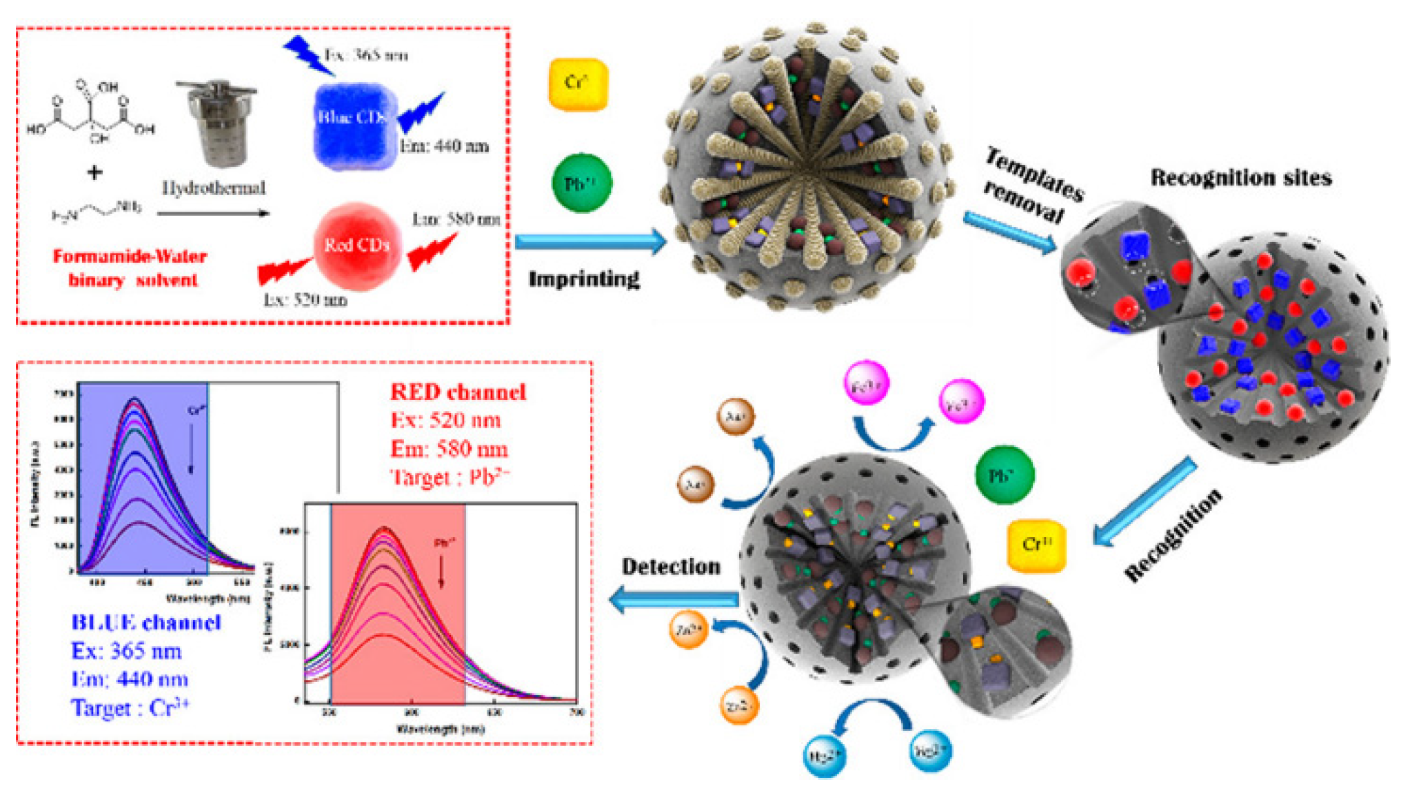 Biosensors 12 01072 g007