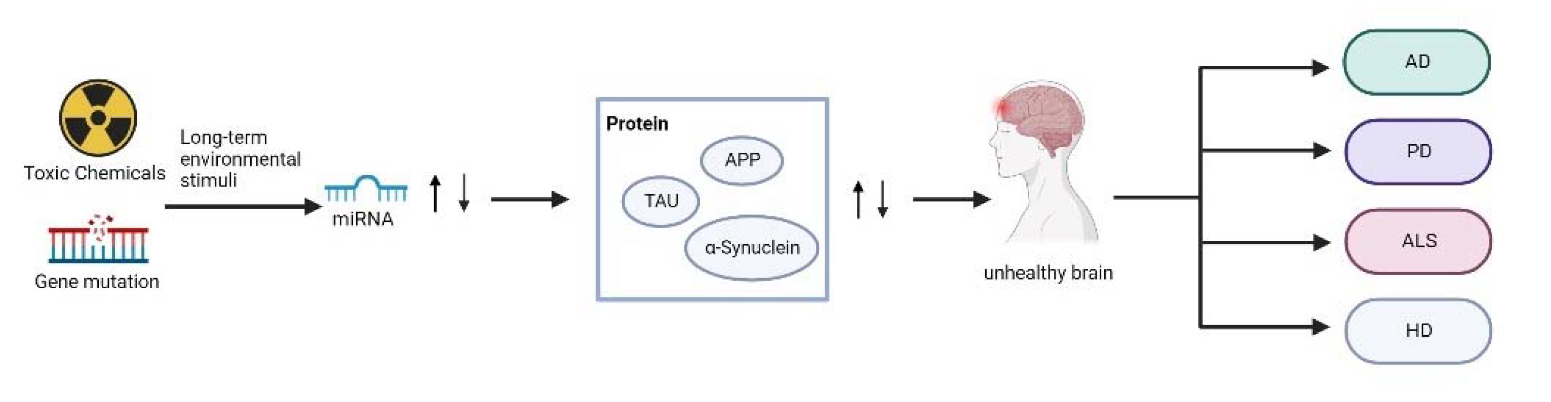 Biosensors 12 01074 g003