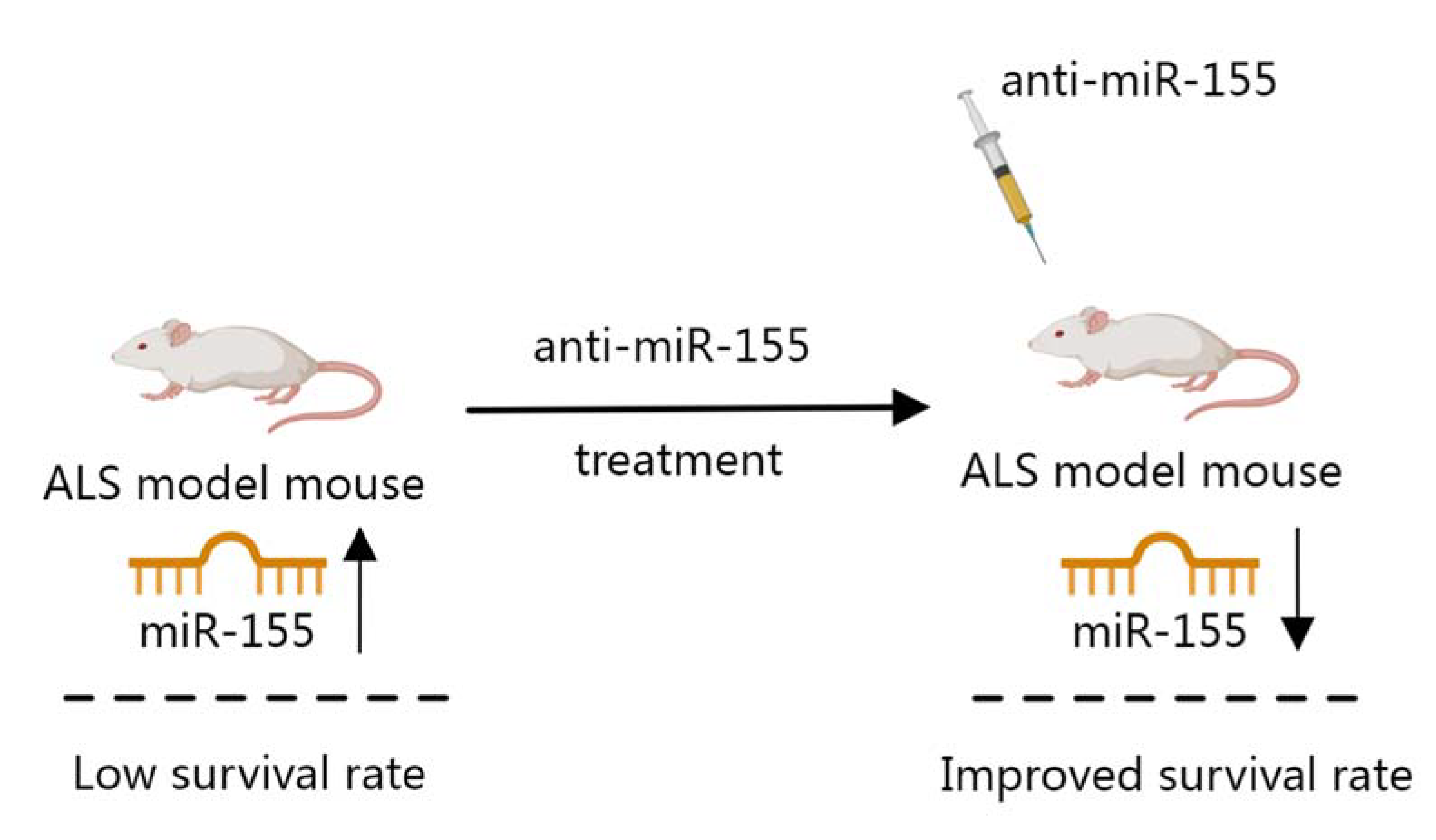 Biosensors 12 01074 g006