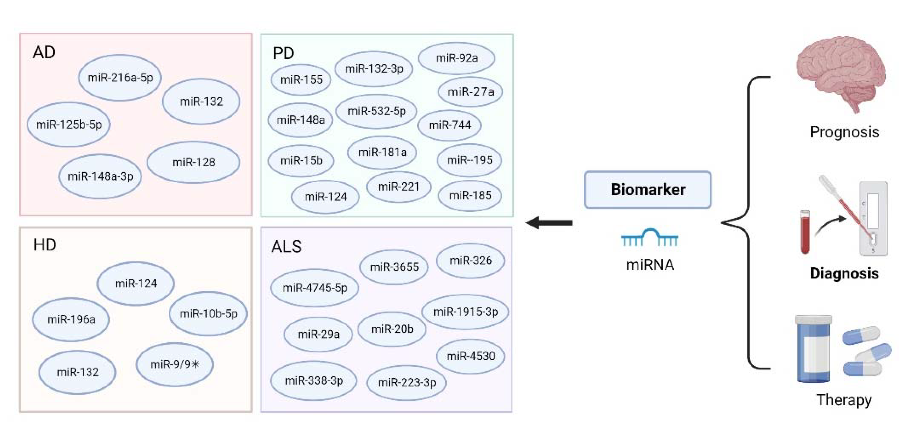 Biosensors 12 01074 g008