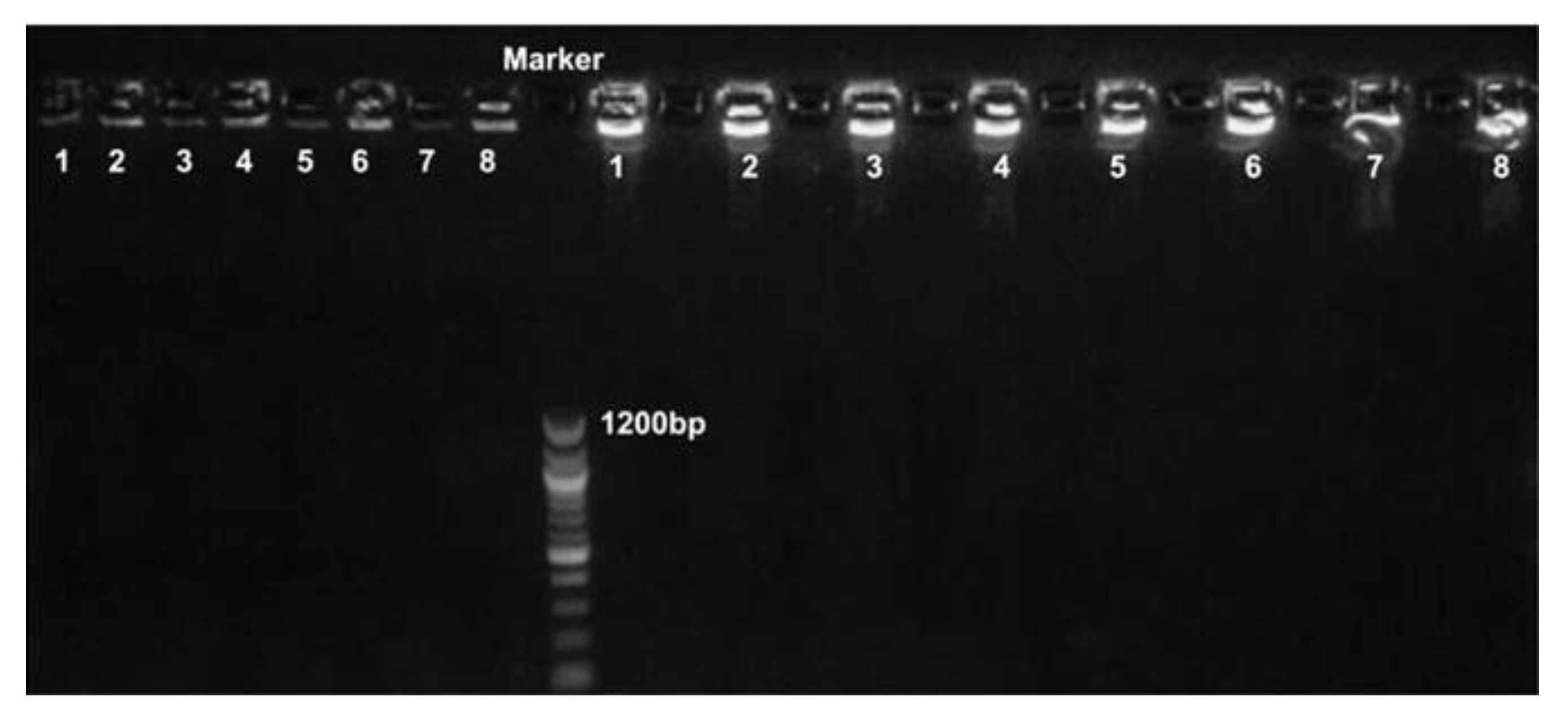 Biosensors 12 01075 g002