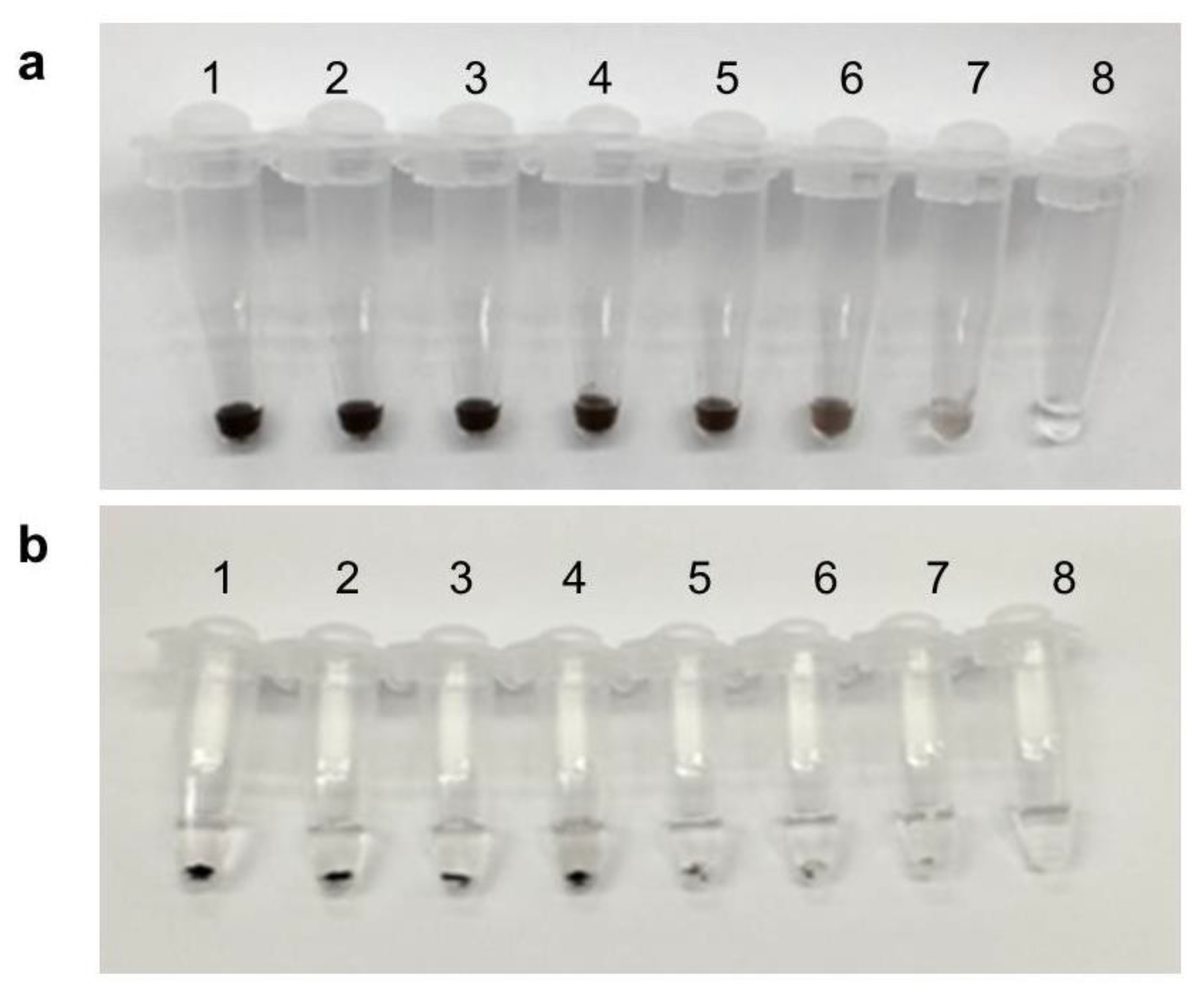 Biosensors 12 01075 g004