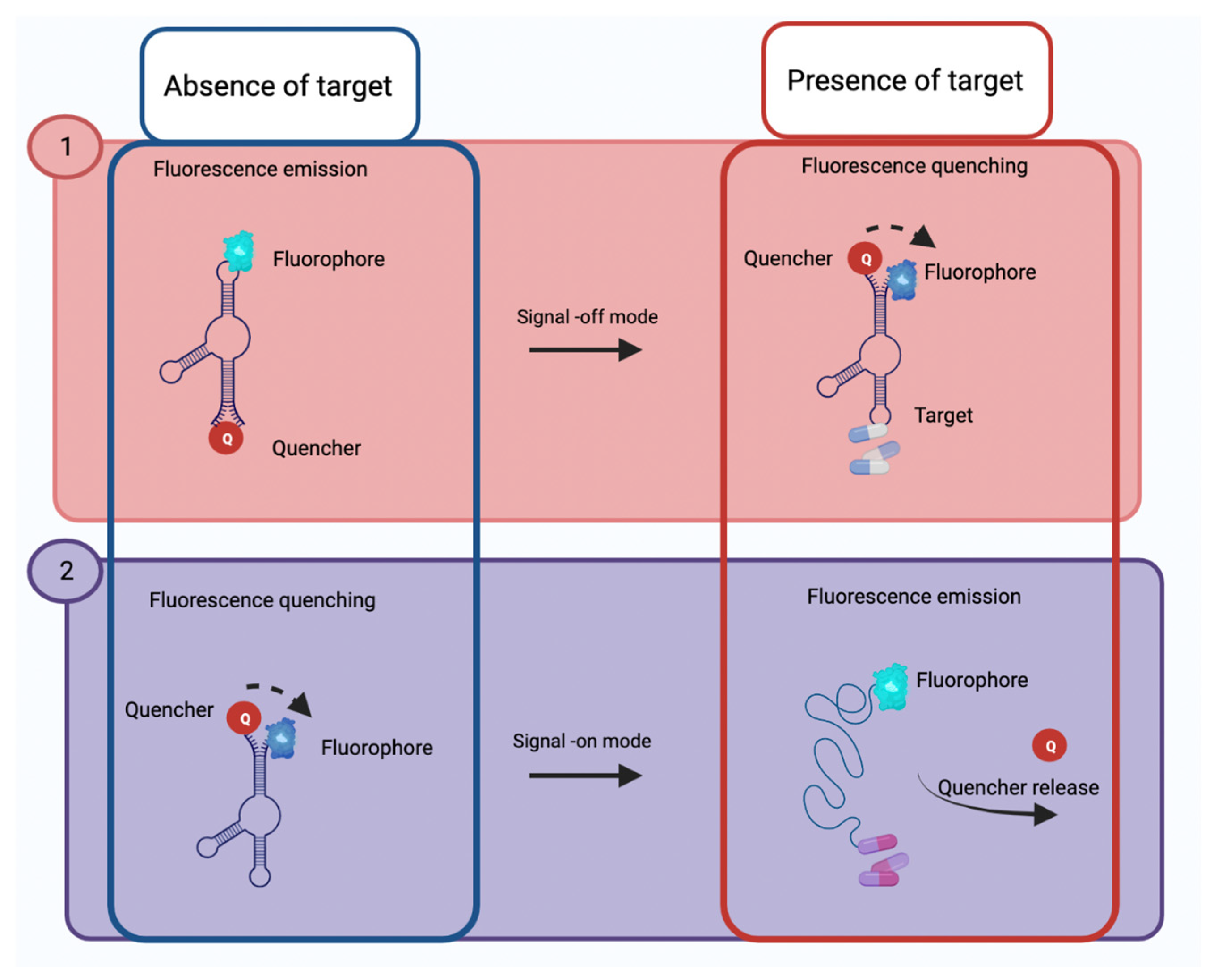 Biosensors Free FullText Detection of Emerging Pollutants Using