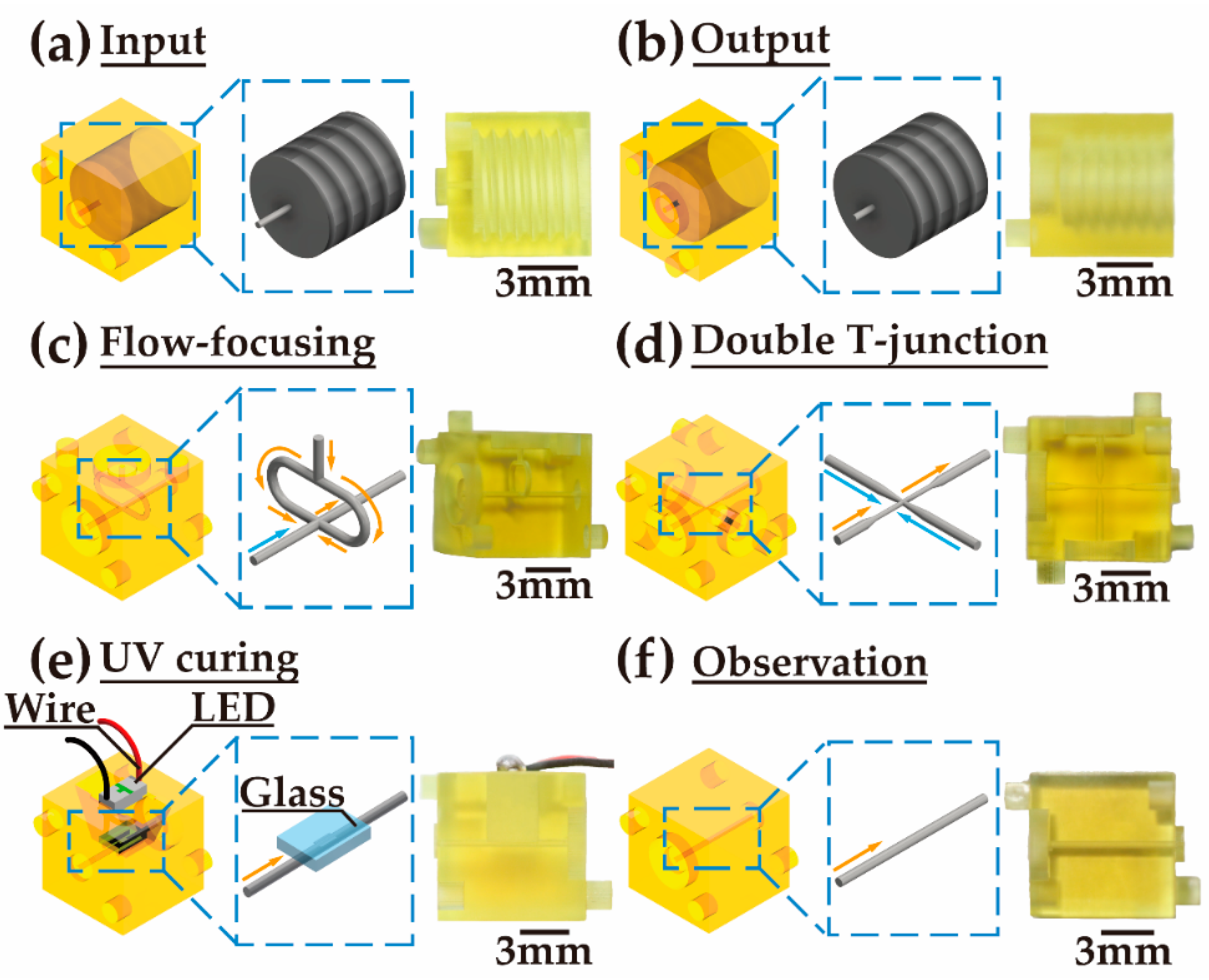 Biosensors 12 01085 g002 Biosensors 12 01085 g002