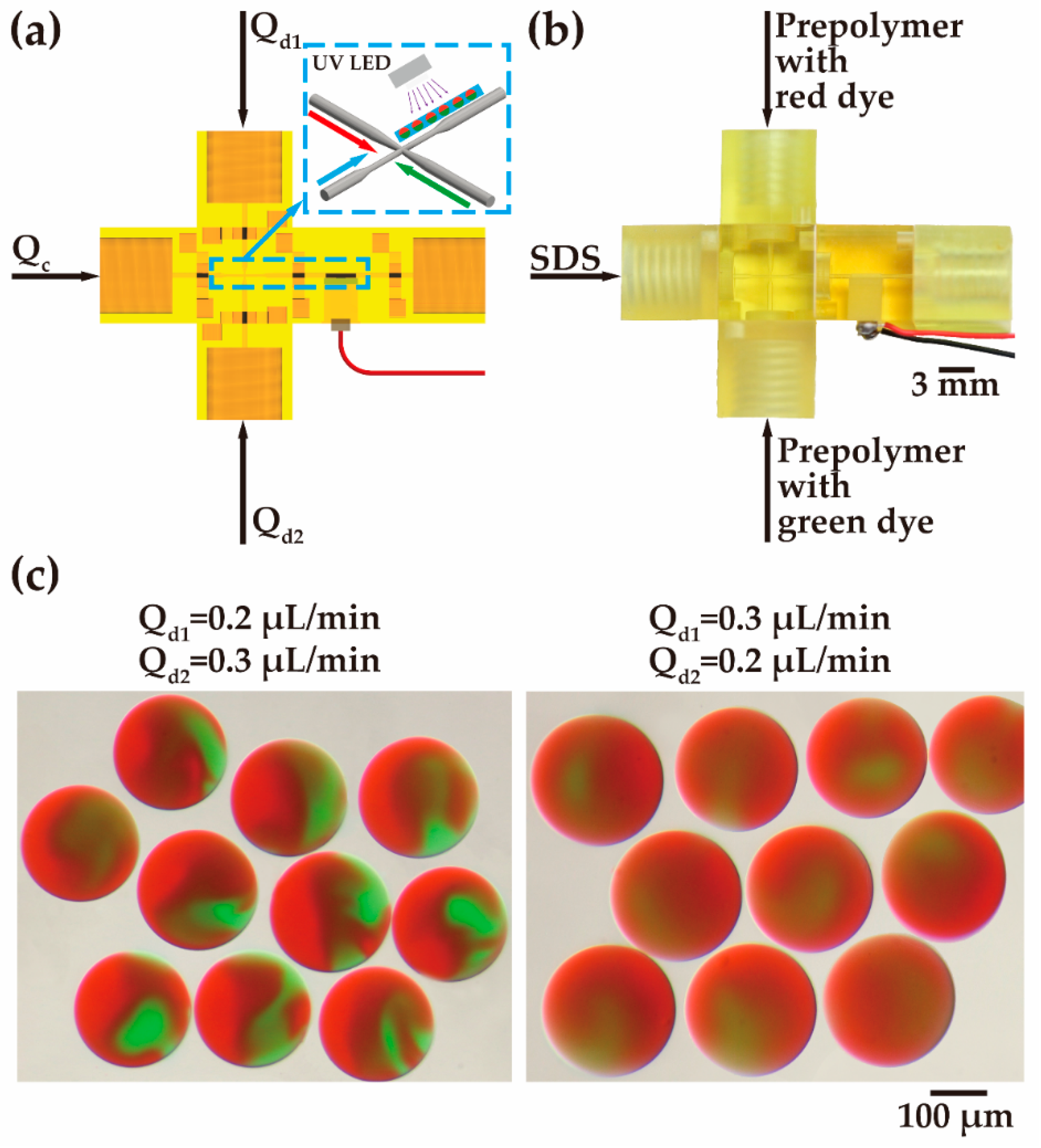 Biosensors 12 01085 g007 Biosensors 12 01085 g007