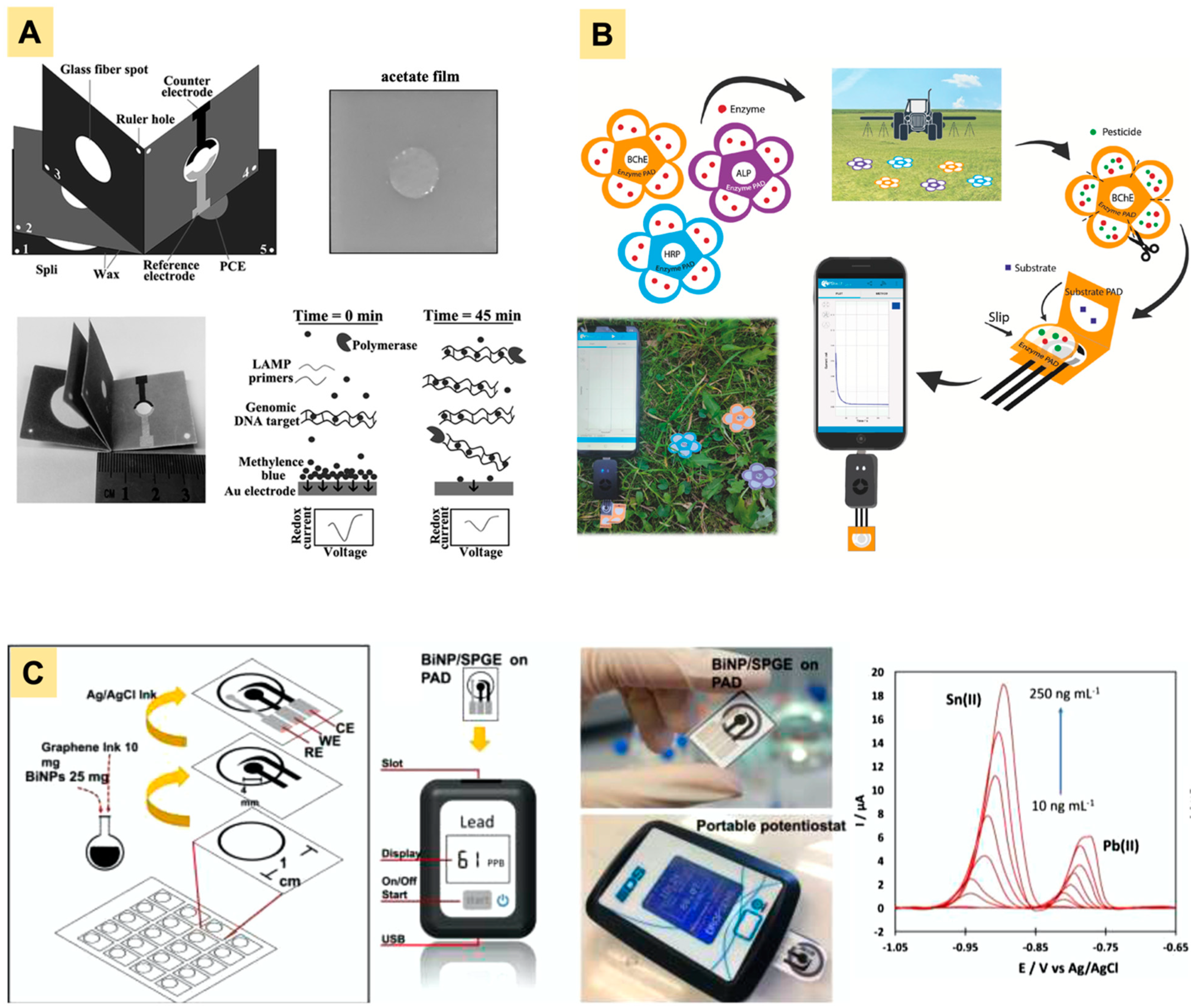 Biosensors 12 01088 g006 Biosensors 12 01088 g006