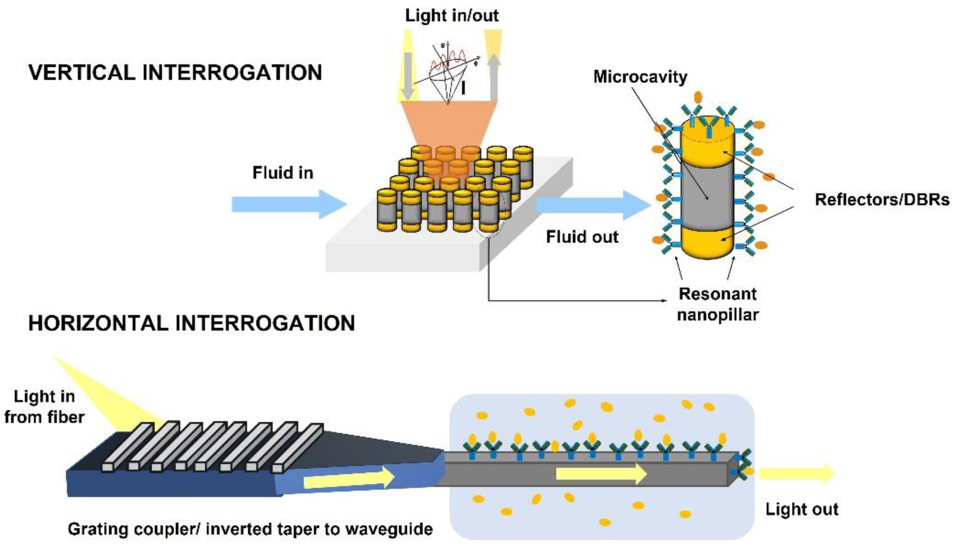 Biosensors 12 01091 g006 Biosensors 12 01091 g006