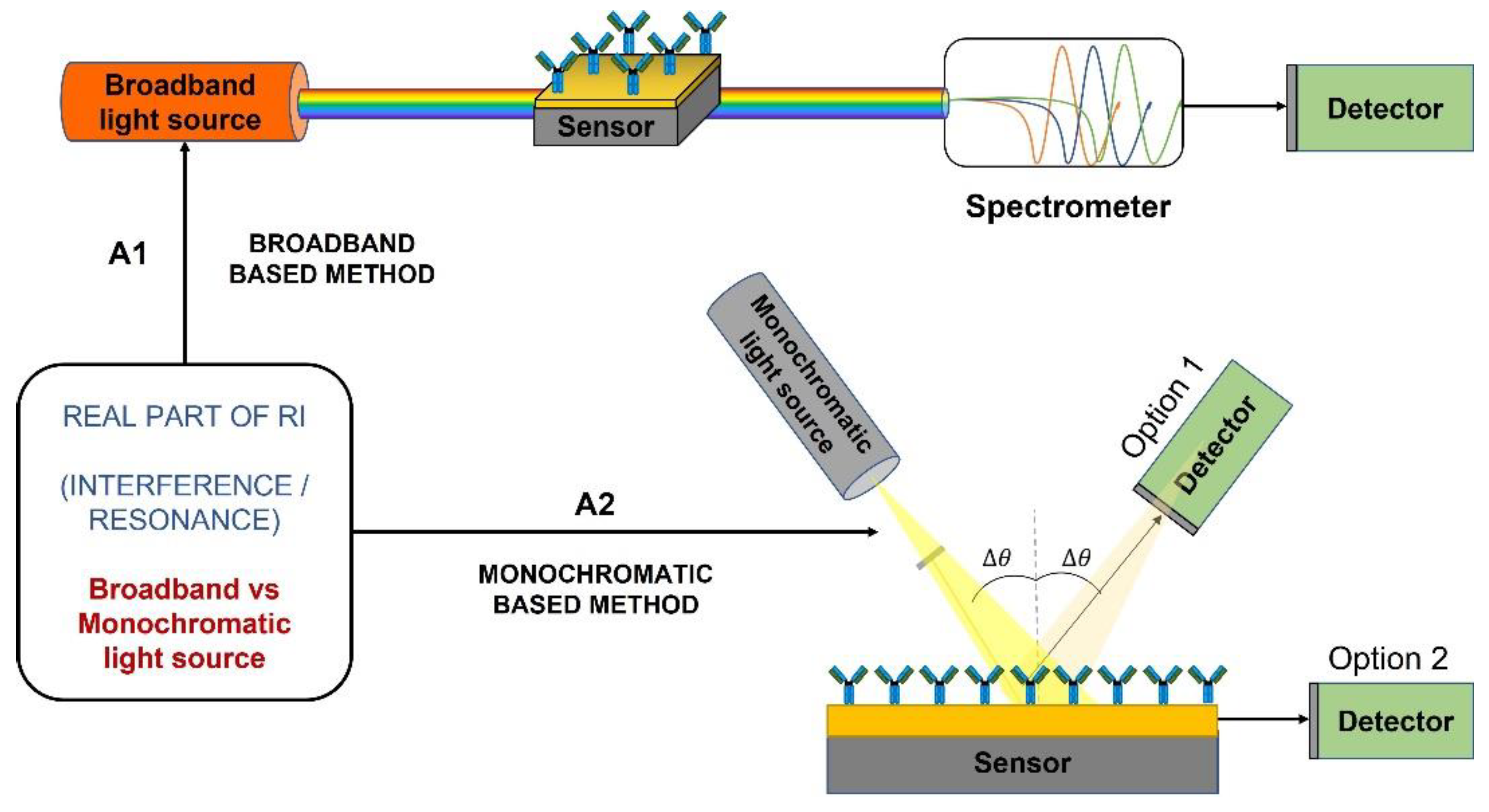 Biosensors 12 01091 g008 Biosensors 12 01091 g008