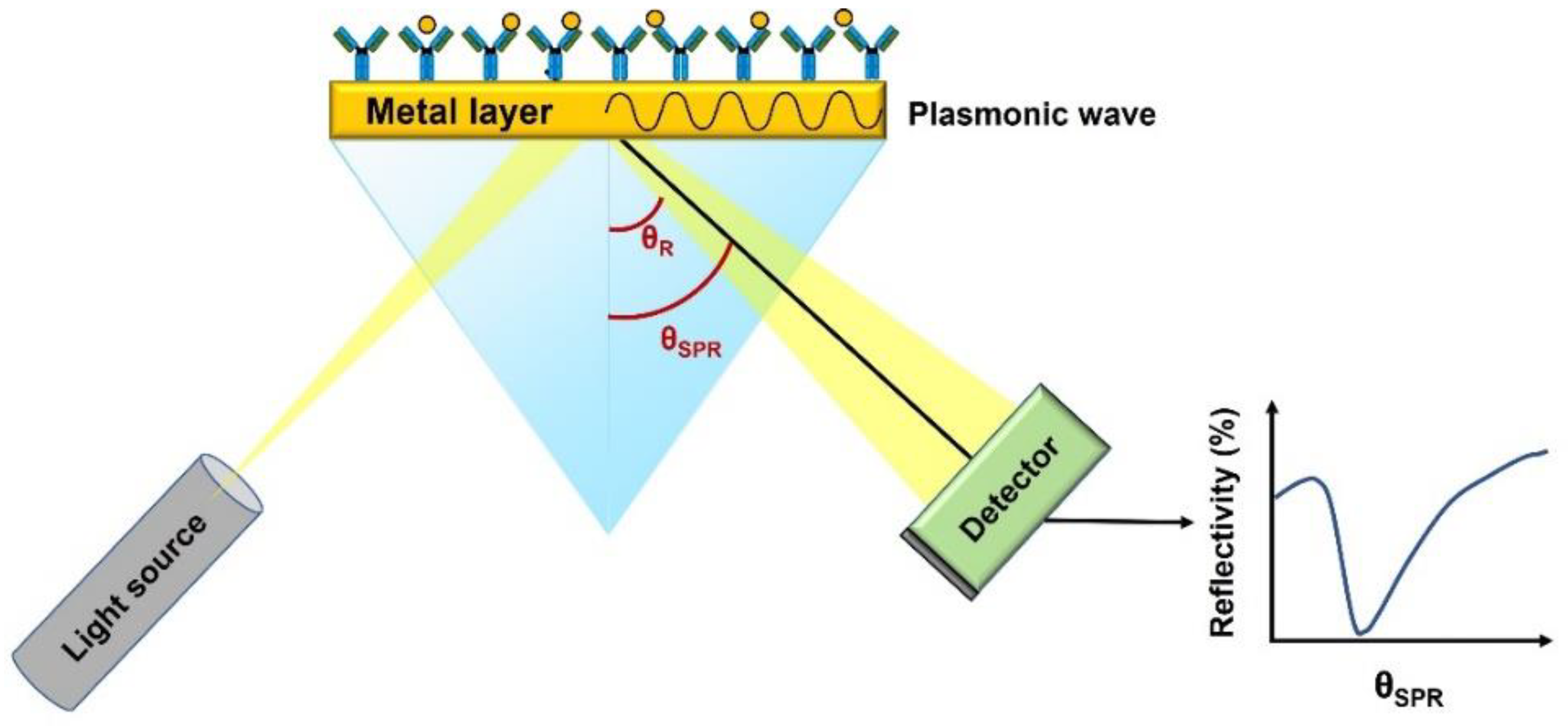 Biosensors 12 01091 g009 Biosensors 12 01091 g009