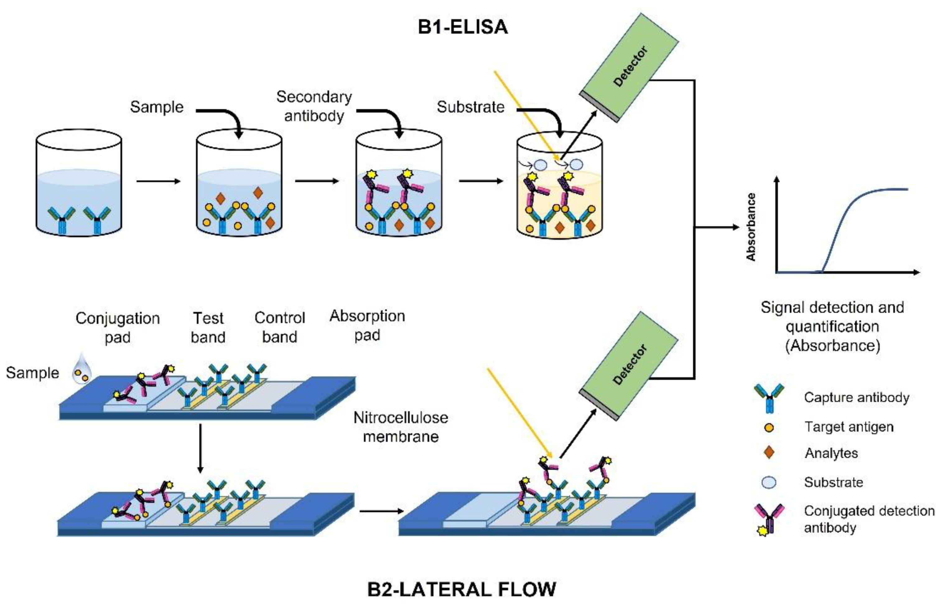 Biosensors 12 01091 g011 Biosensors 12 01091 g011