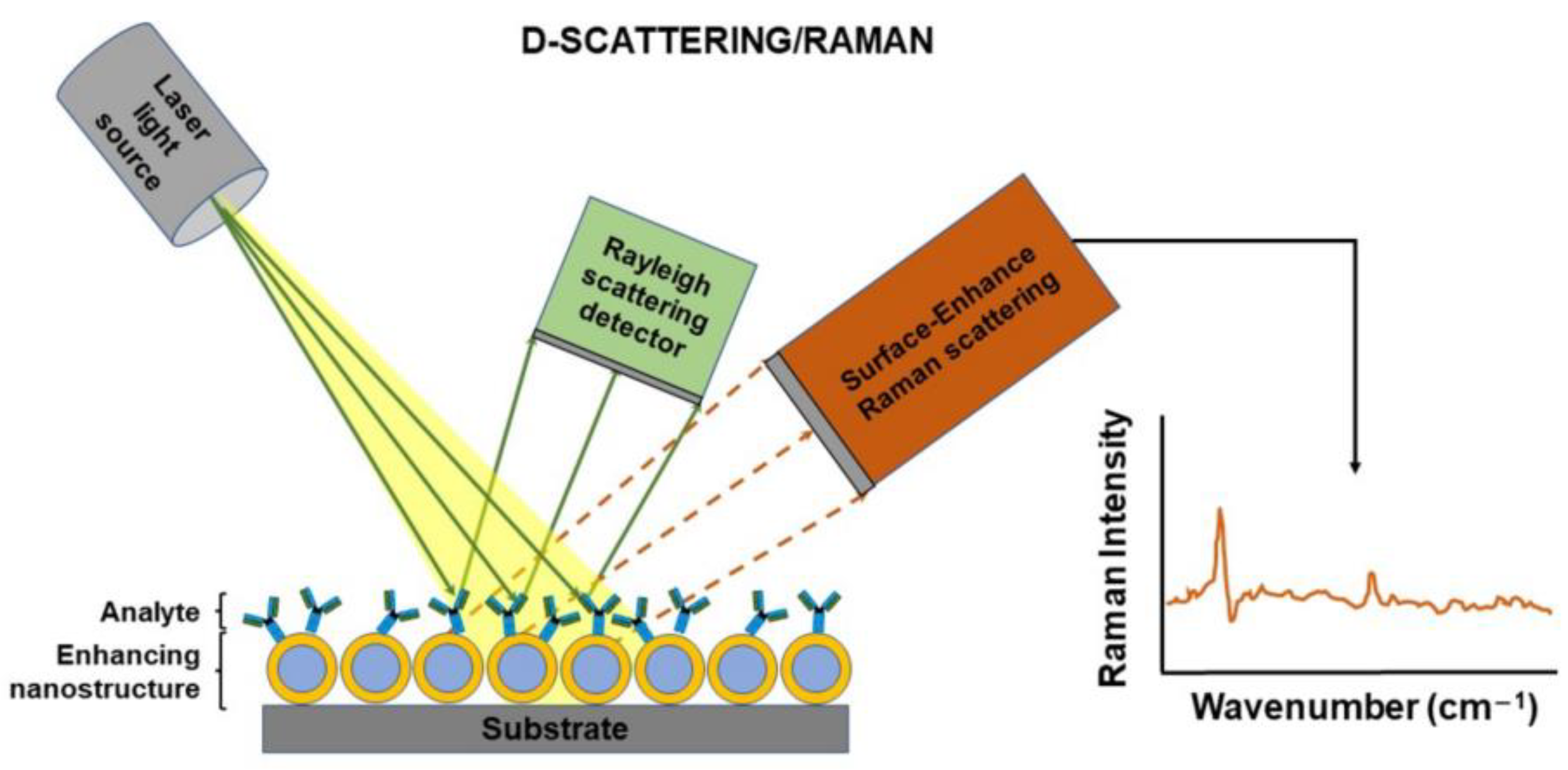 Biosensors 12 01091 g013 Biosensors 12 01091 g013