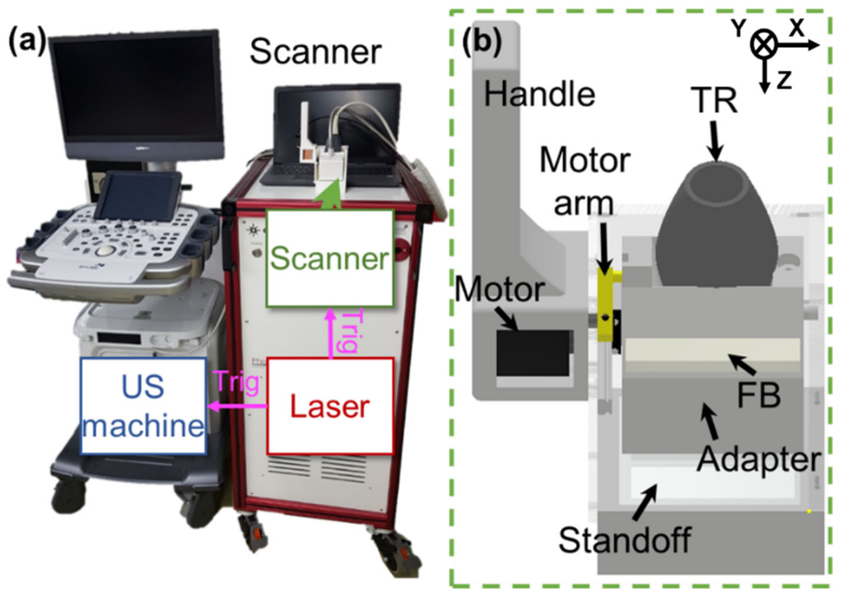 Palmetto Imaging - twu3qlg