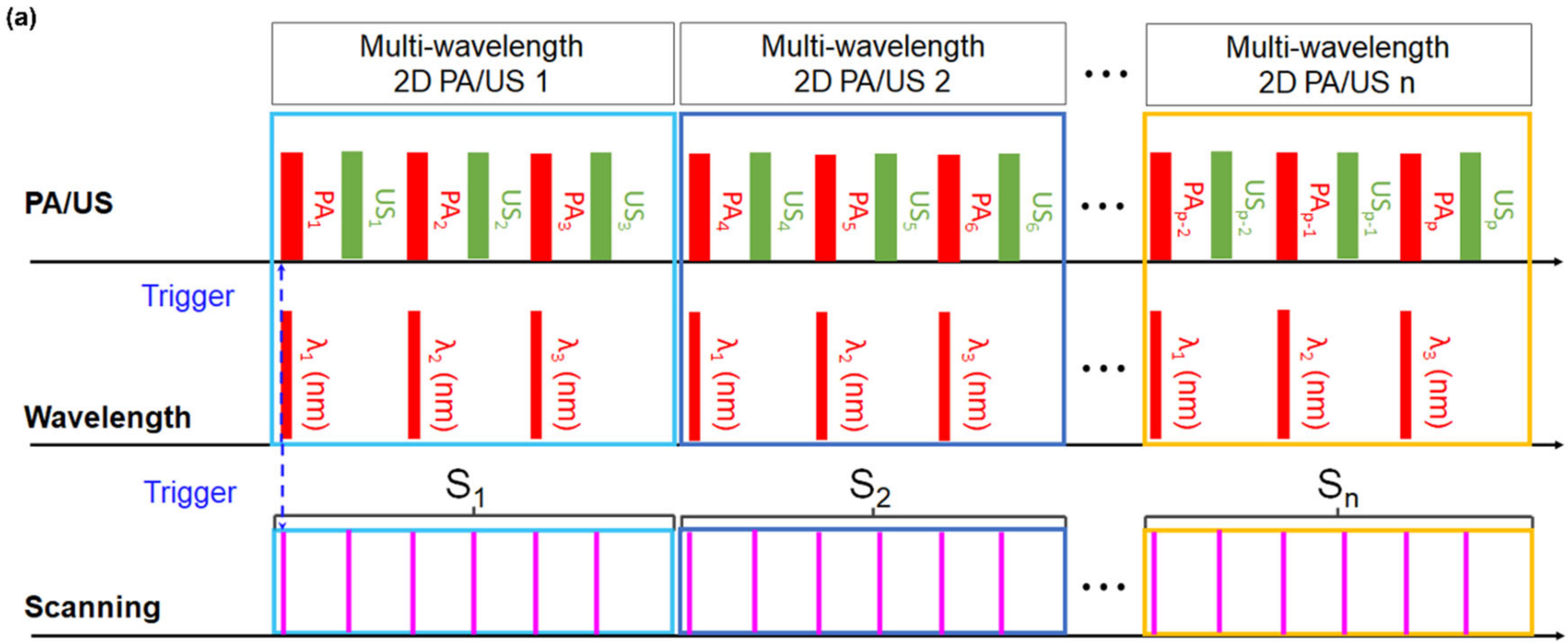 Biosensors 12 01092 g002a Biosensors 12 01092 g002a
