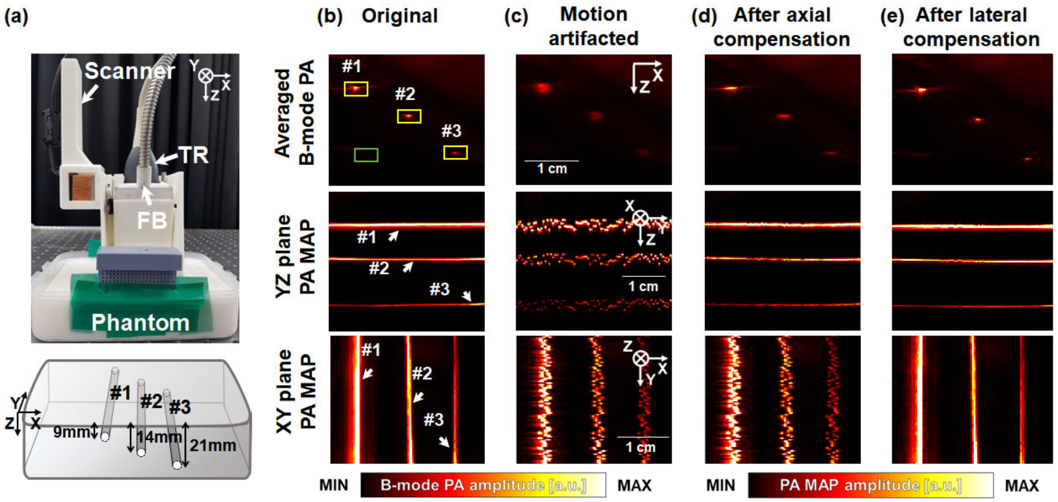 Biosensors 12 01092 g003a Biosensors 12 01092 g003a