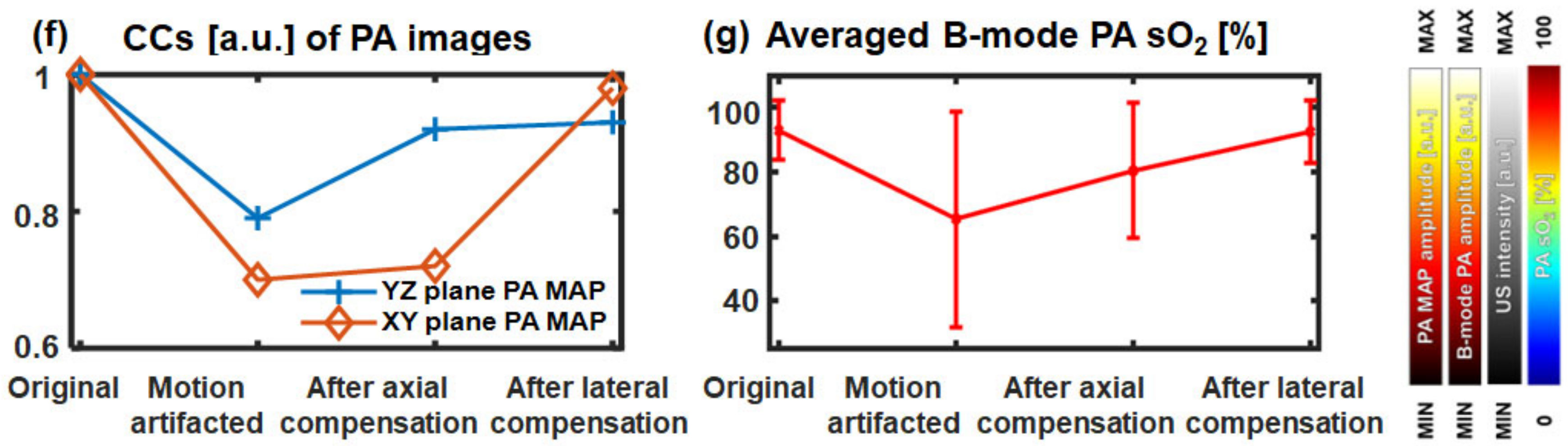Biosensors 12 01092 g004b Biosensors 12 01092 g004b
