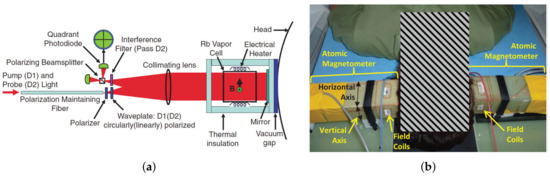 Application of VCSEL in Bio-Sensing Atomic Magnetometers