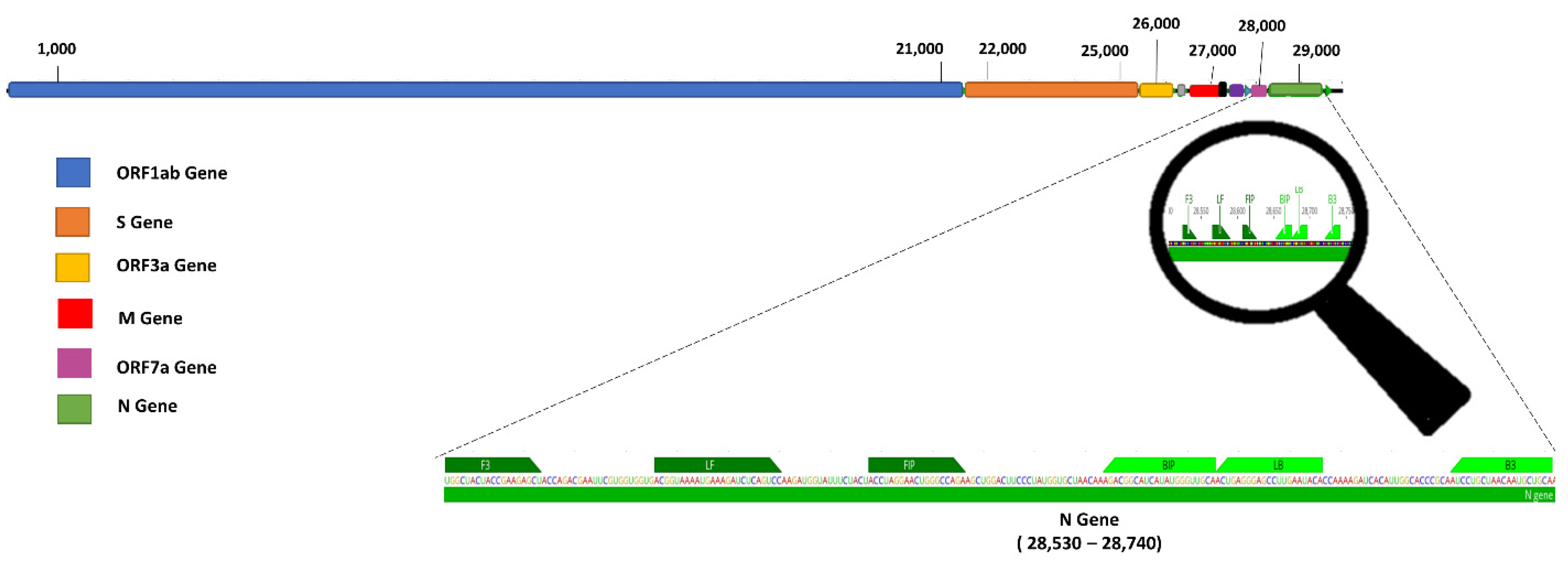 Biosensors 12 01101 g002 Biosensors 12 01101 g002