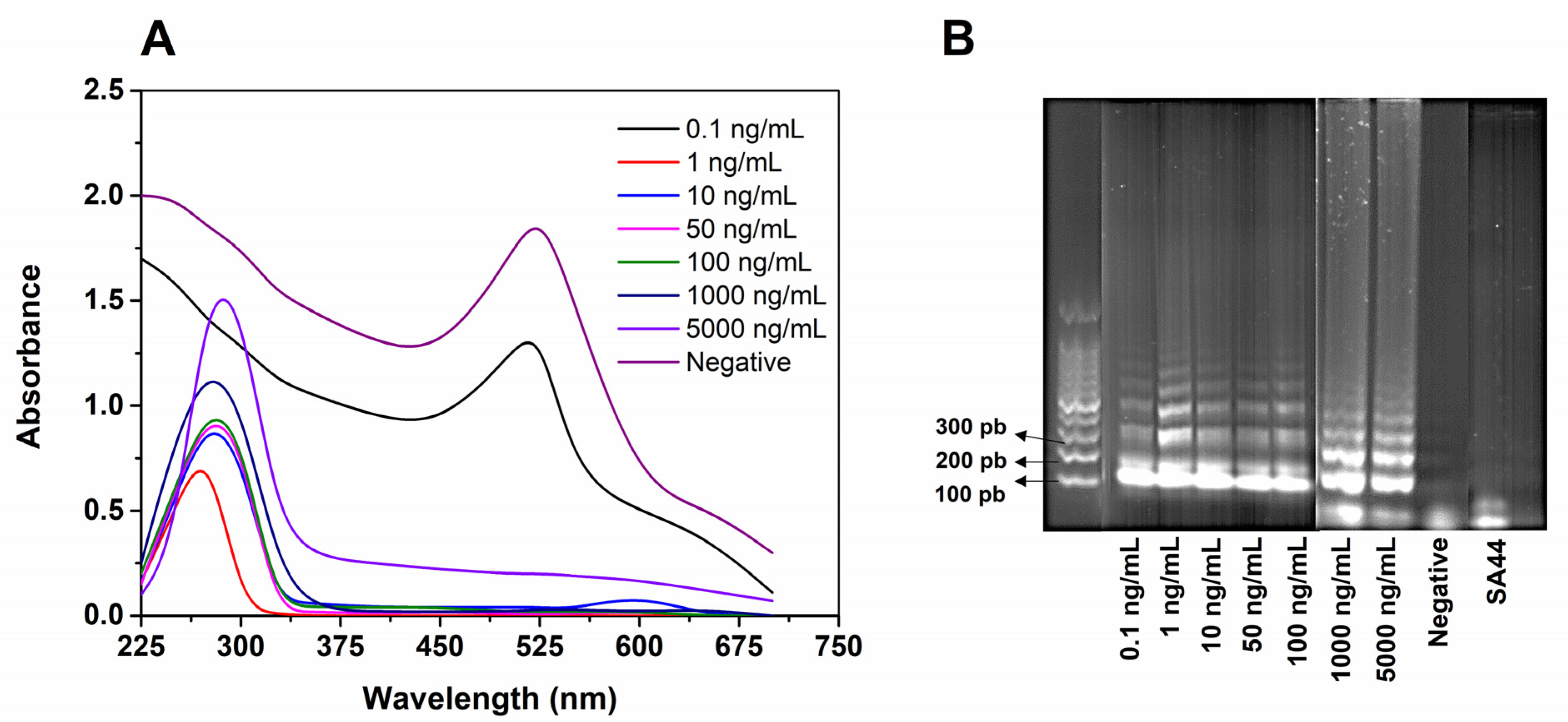 Biosensors 12 01101 g006 Biosensors 12 01101 g006