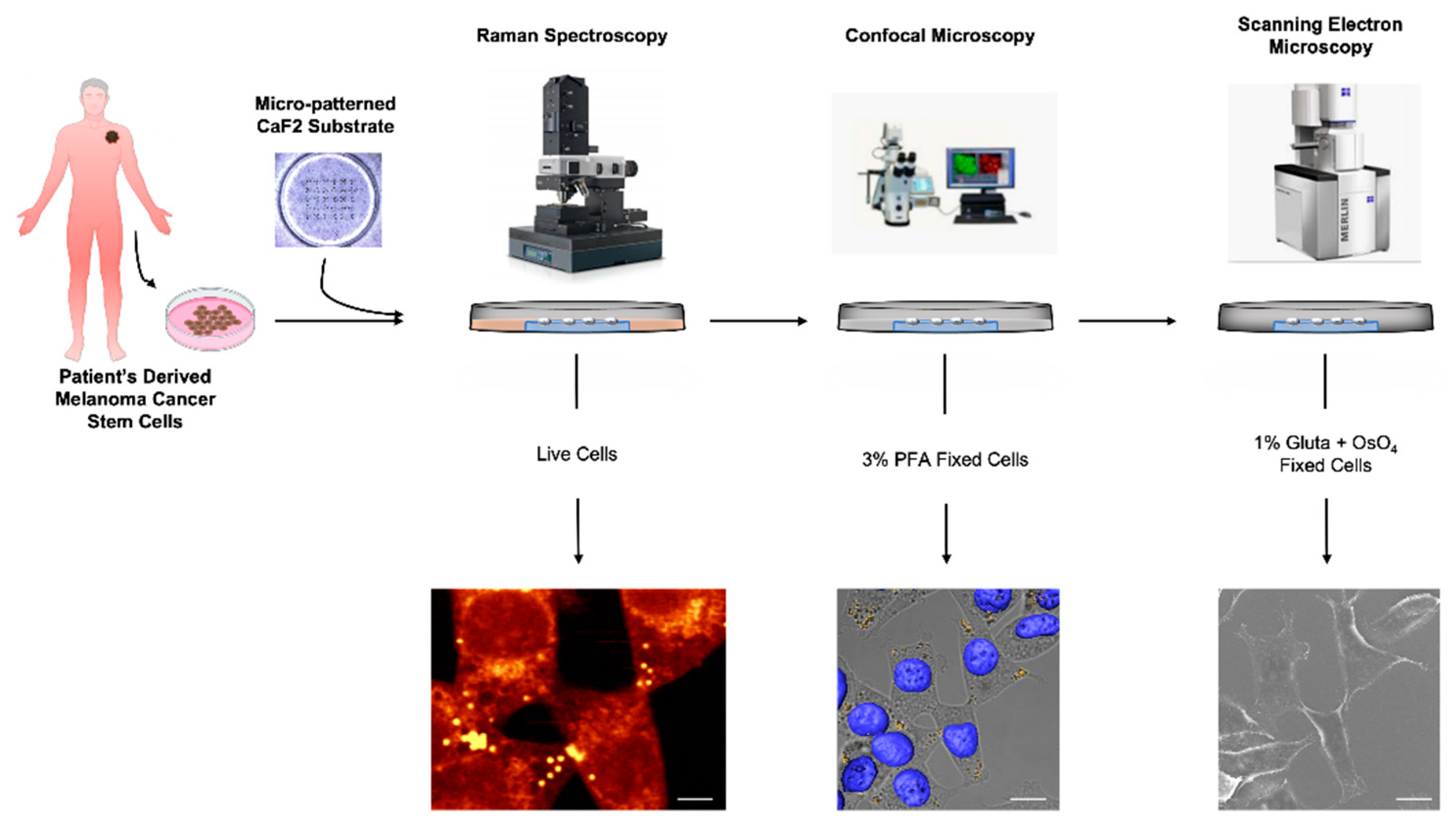 Biosensors 12 01102 g001 Biosensors 12 01102 g001