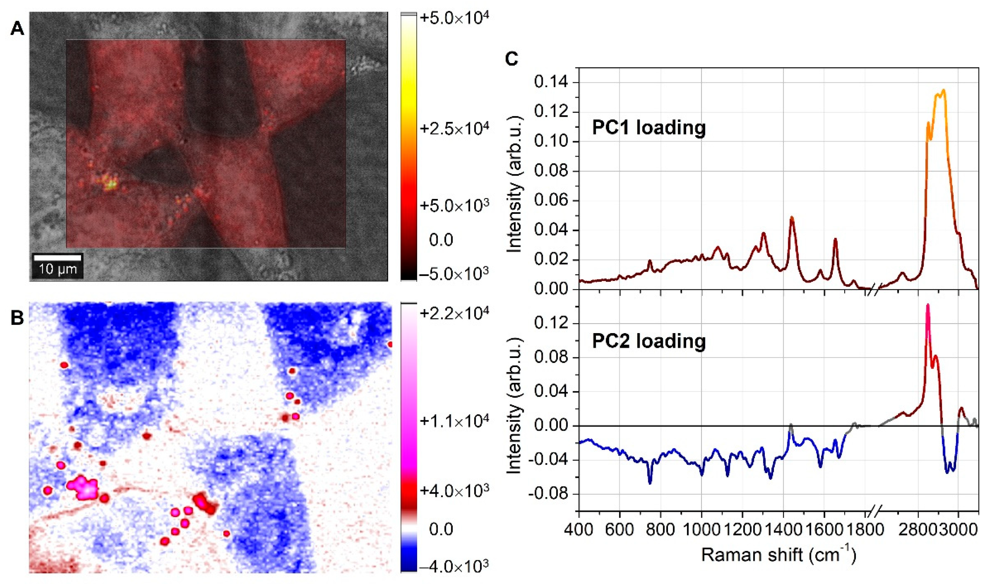 Biosensors 12 01102 g002 Biosensors 12 01102 g002