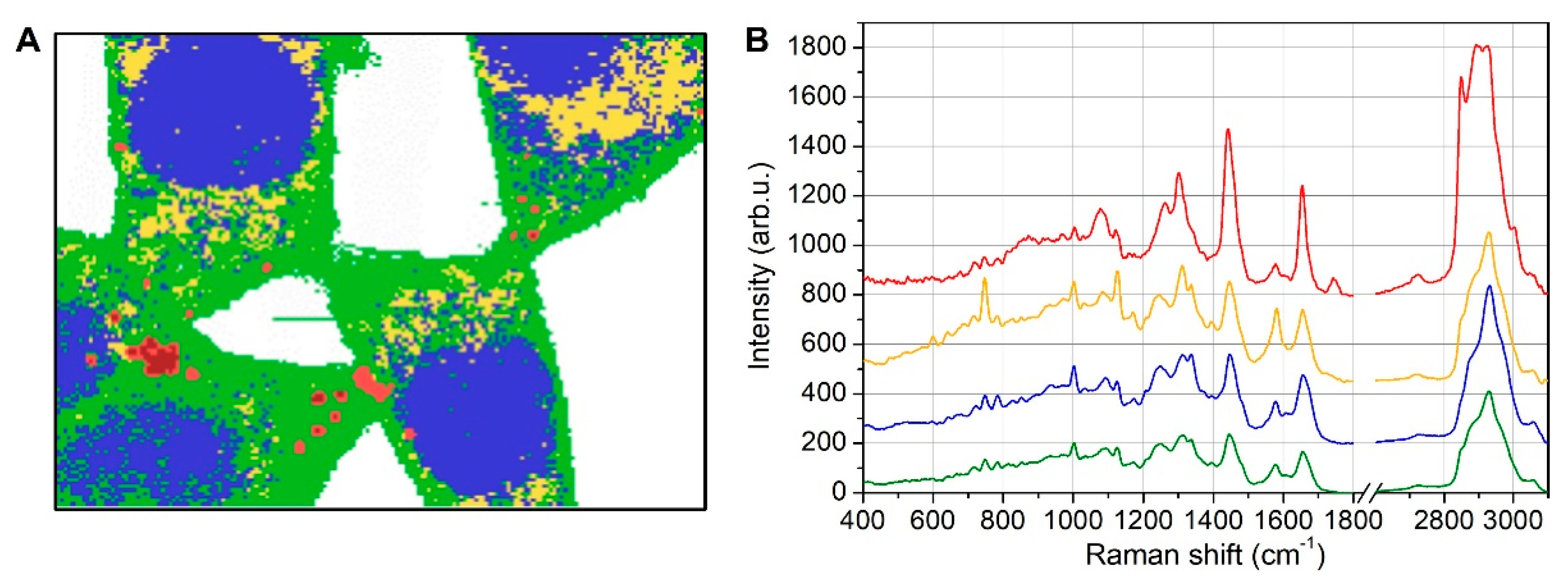 Biosensors 12 01102 g003 Biosensors 12 01102 g003