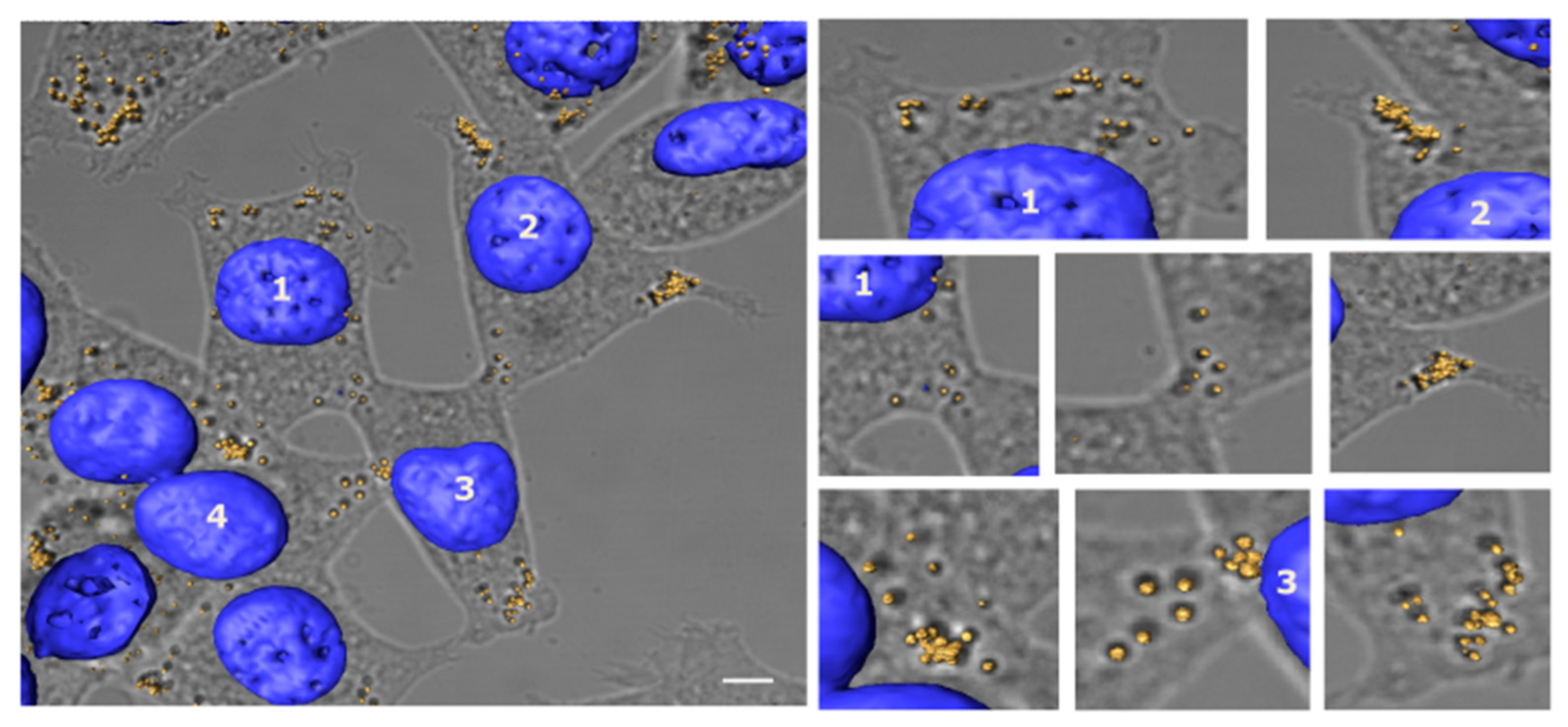 Biosensors 12 01102 g005 Biosensors 12 01102 g005