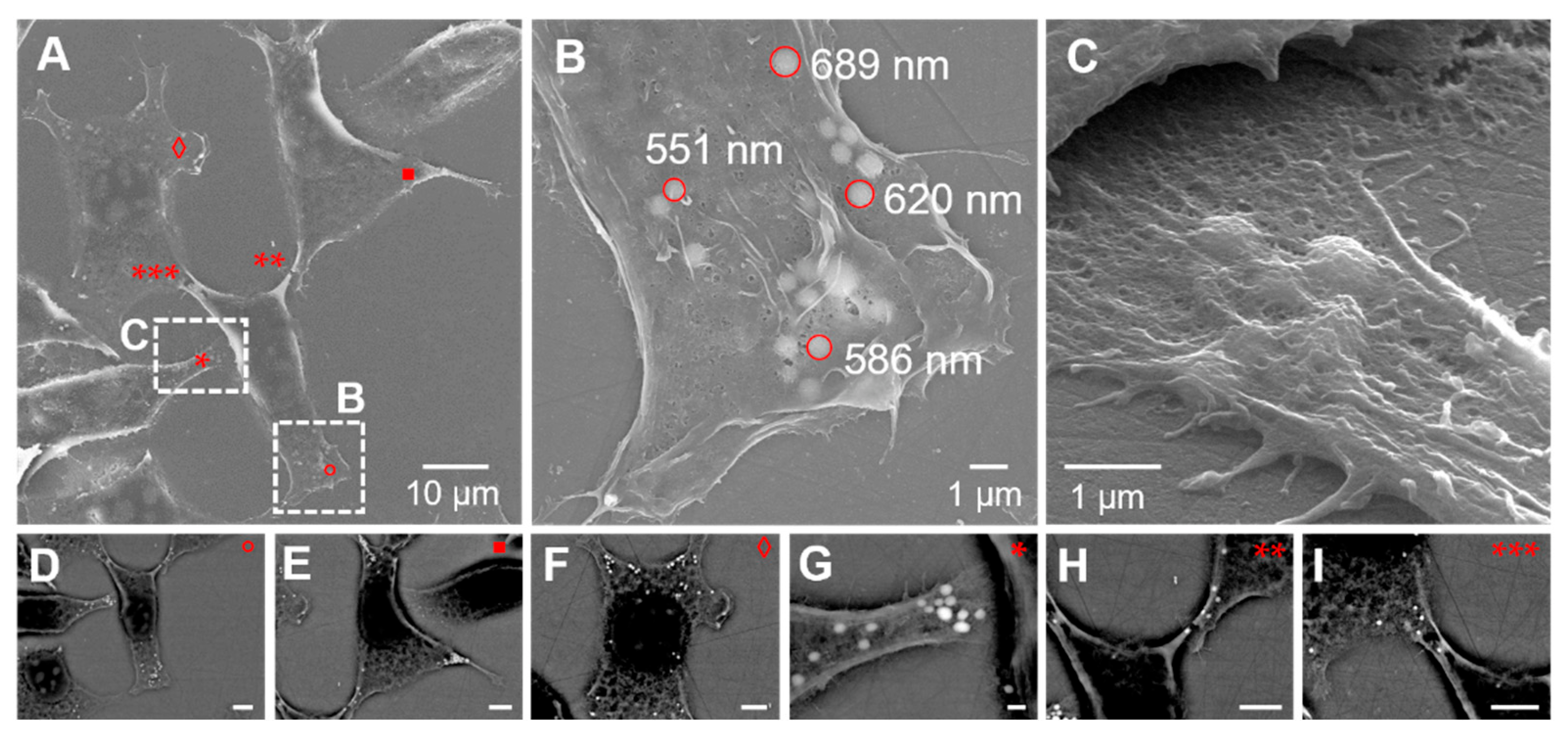 Biosensors 12 01102 g006 Biosensors 12 01102 g006