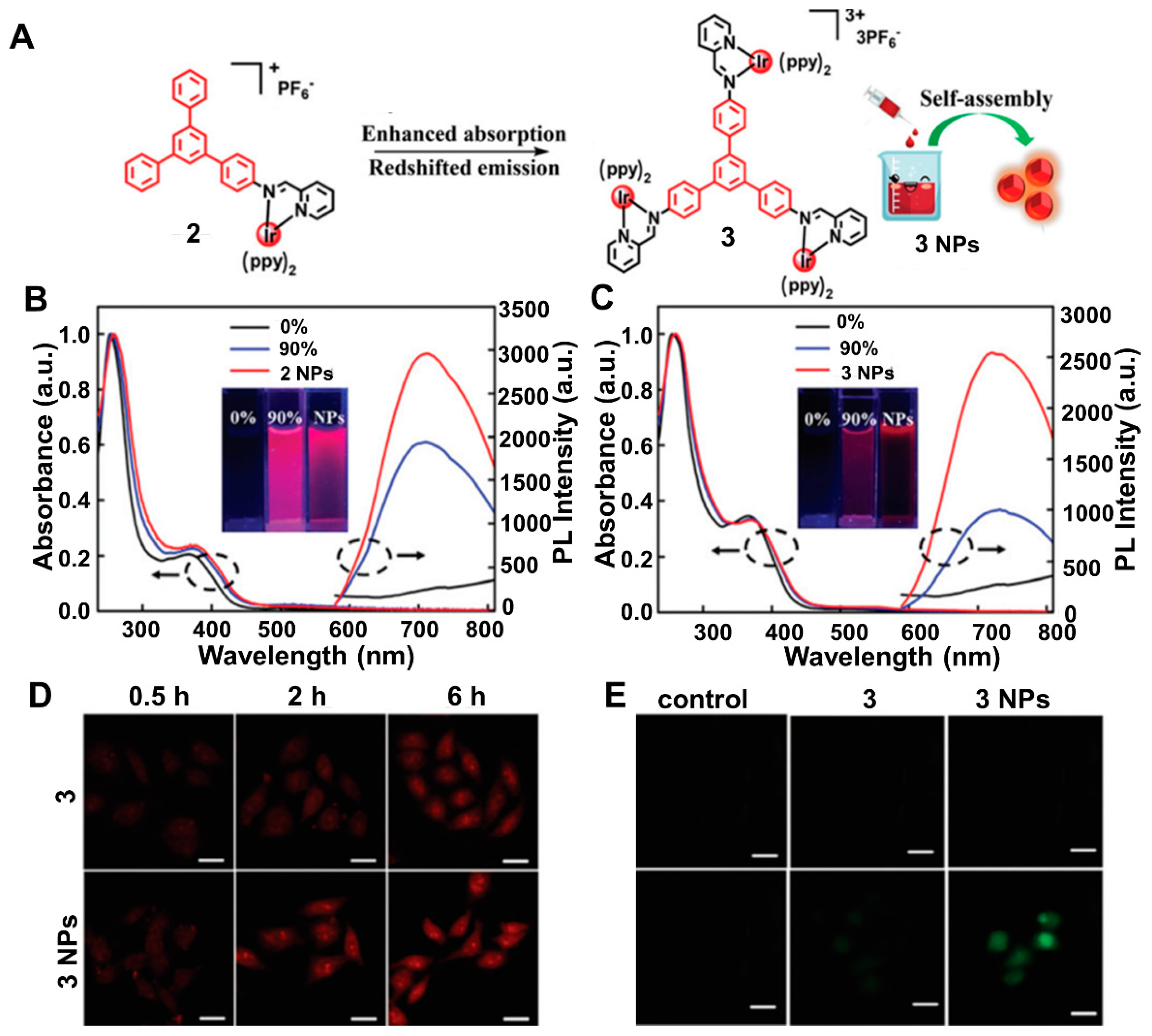 Biosensors 12 01104 g002