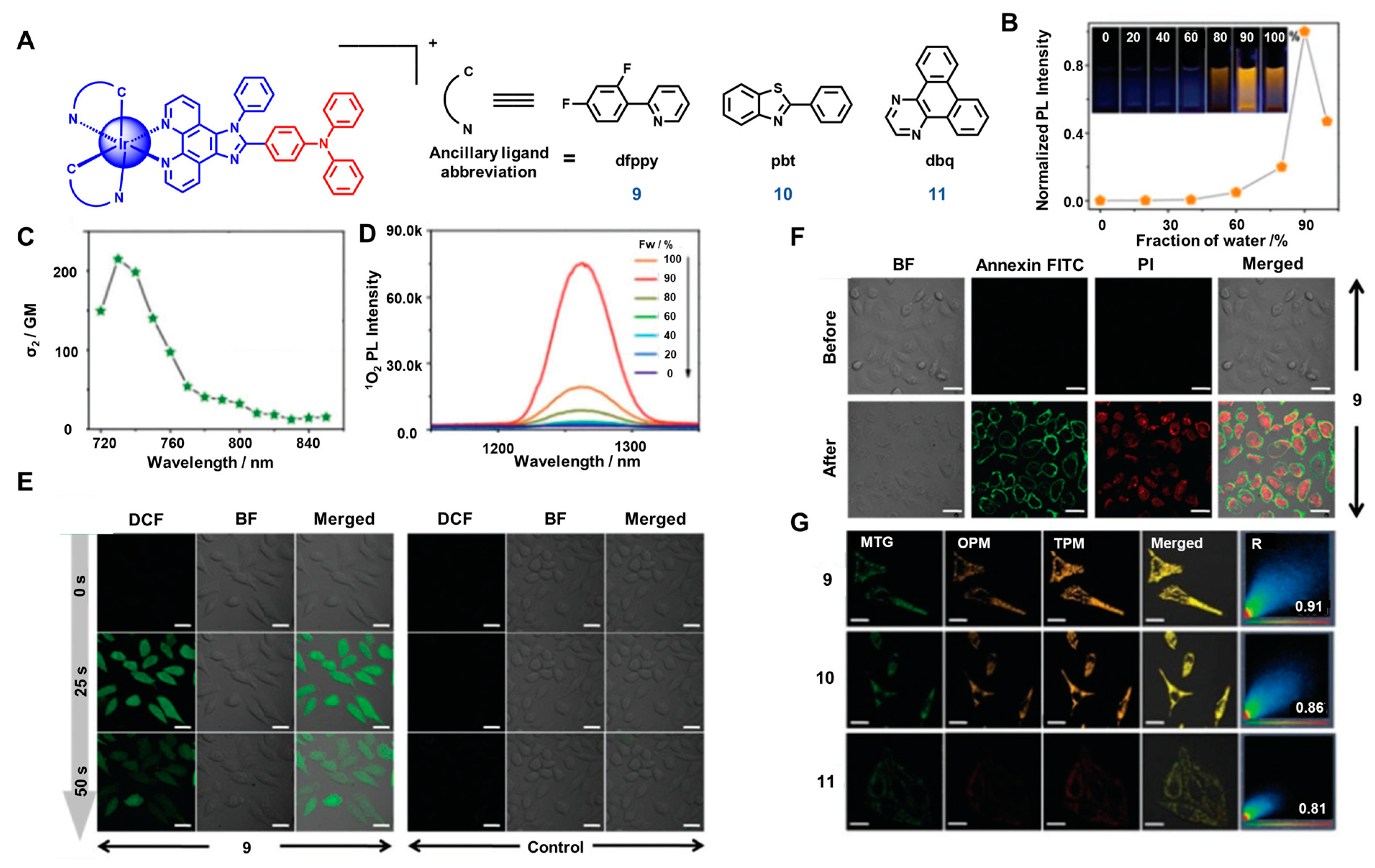 Biosensors 12 01104 g005