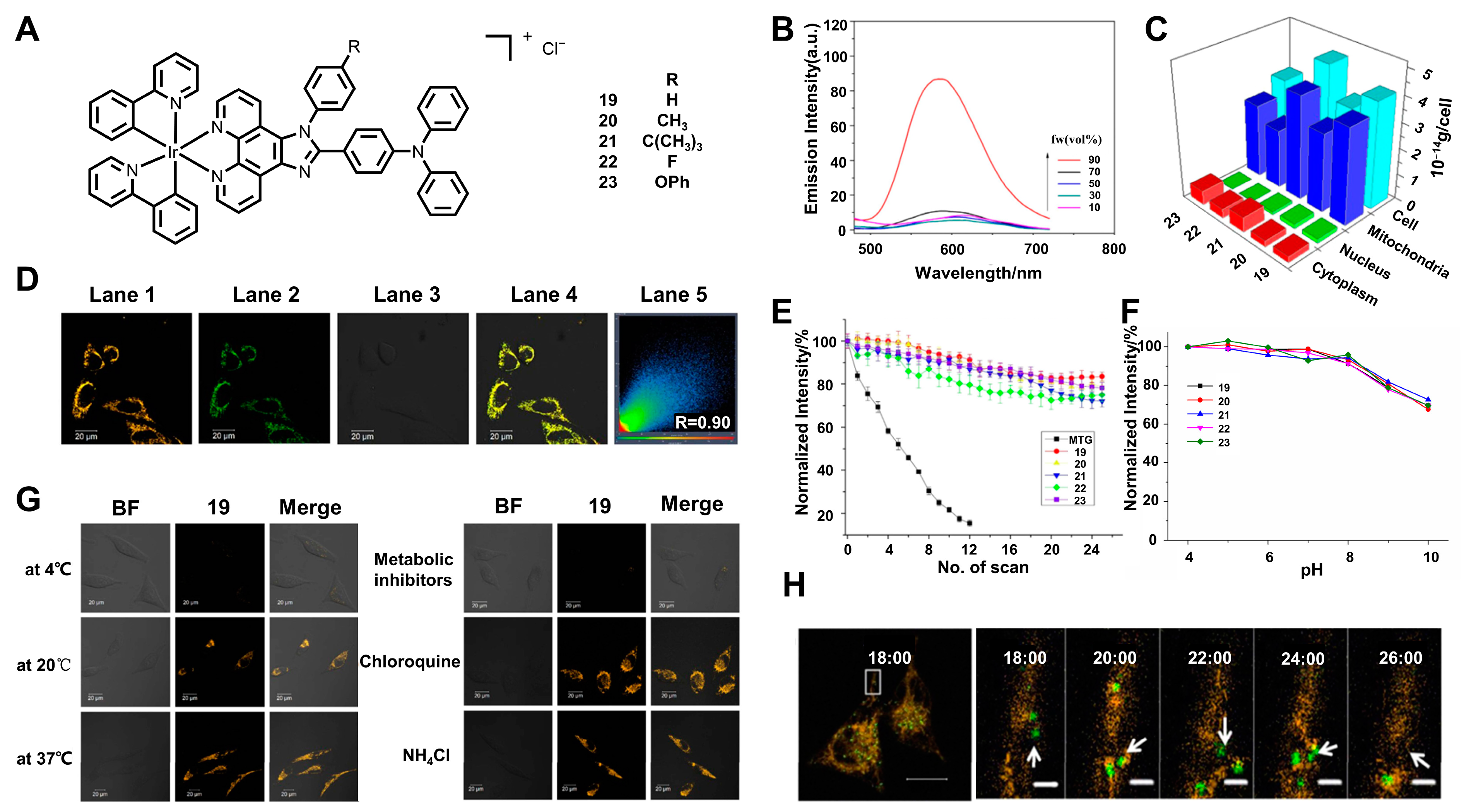 Biosensors 12 01104 g008