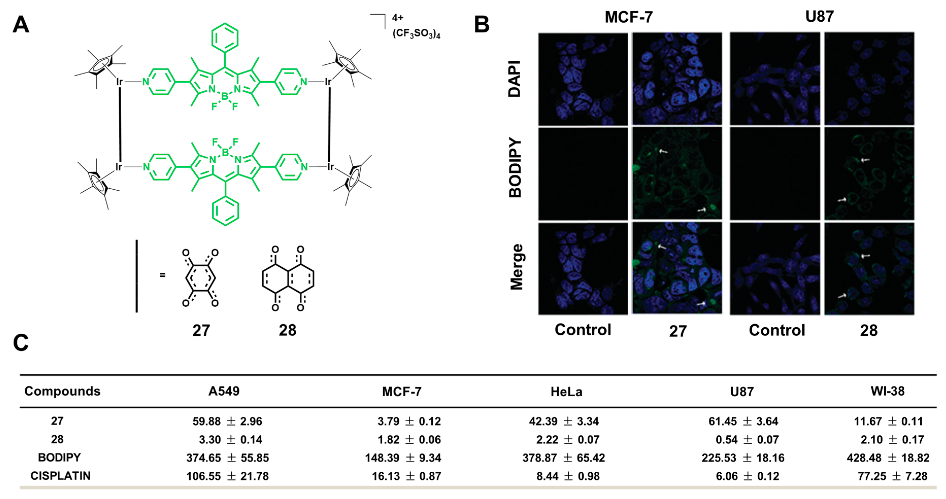 Biosensors 12 01104 g011