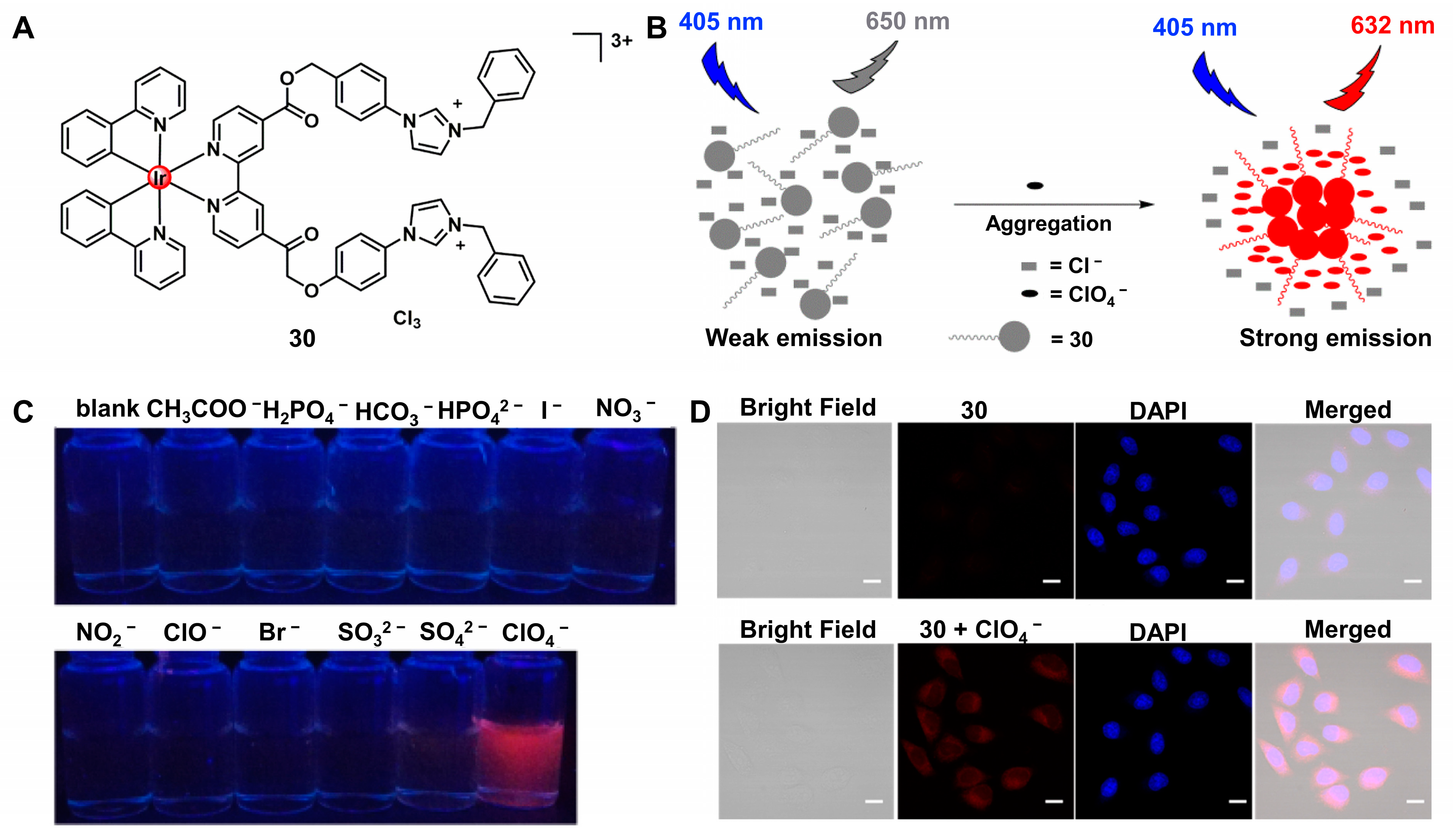 Biosensors 12 01104 g013