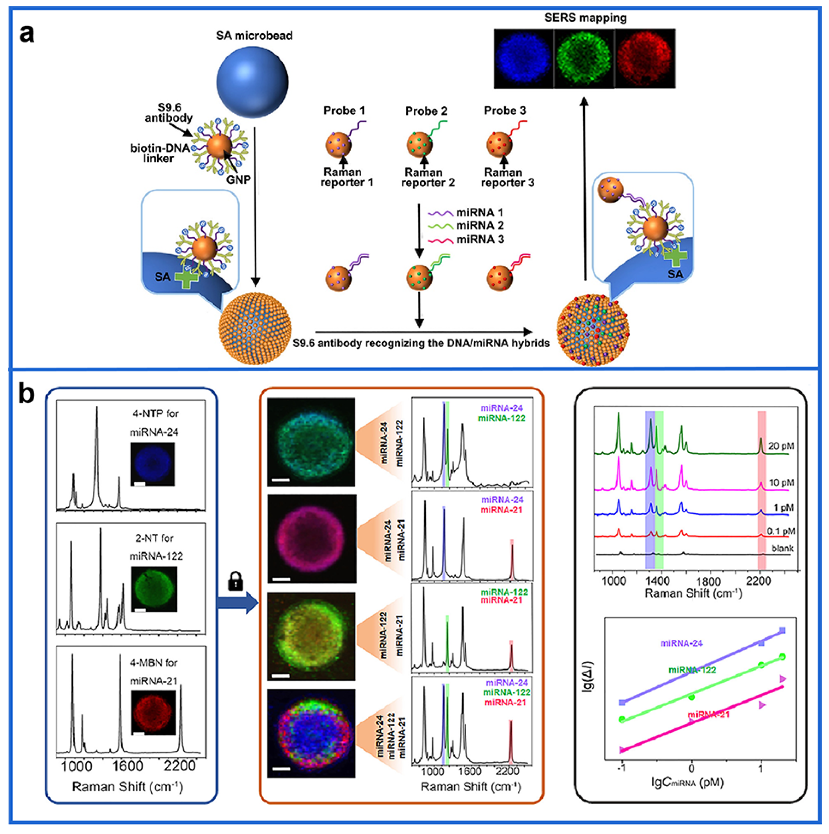 Biosensors 12 01105 g003