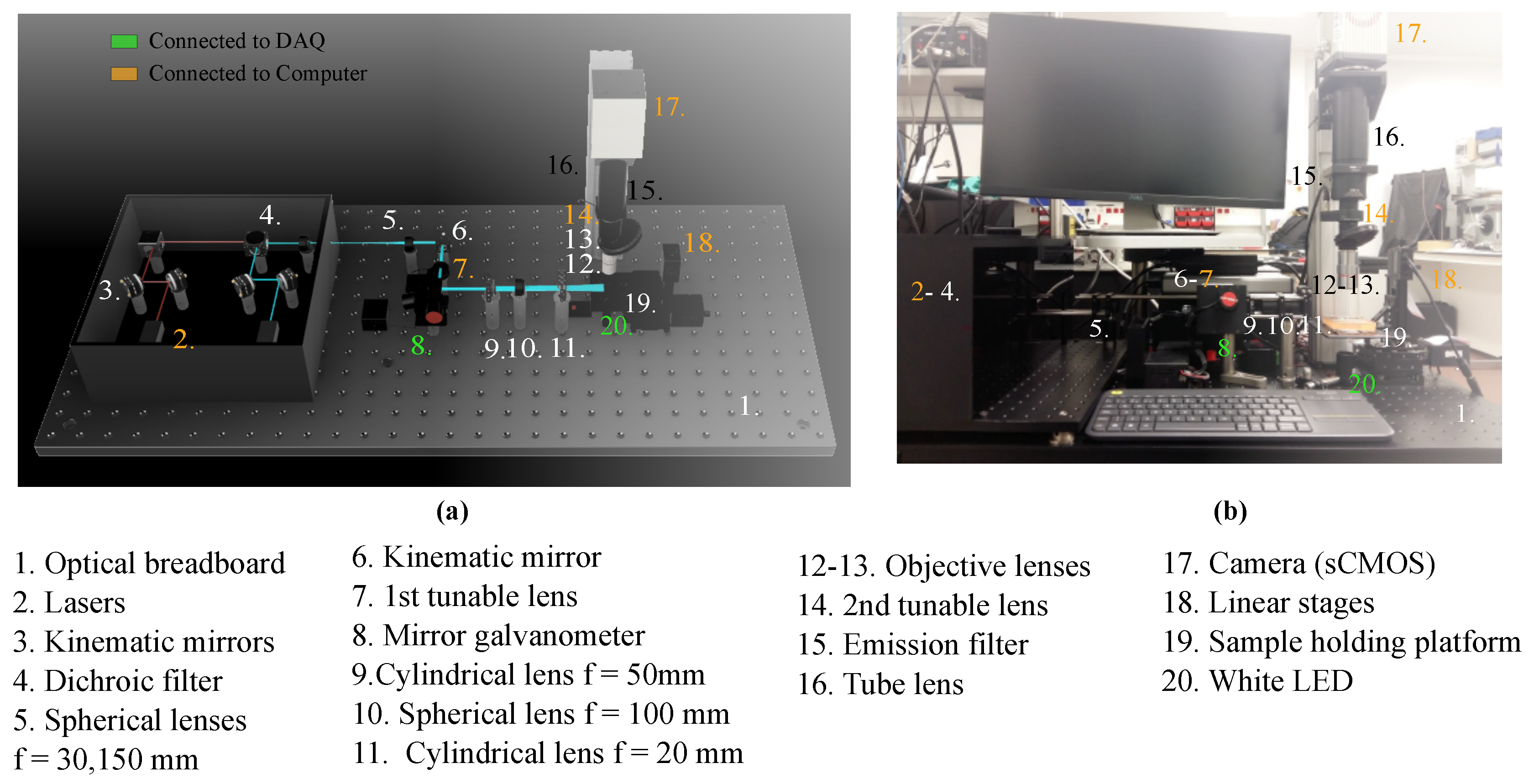 Biosensors 12 01110 g001