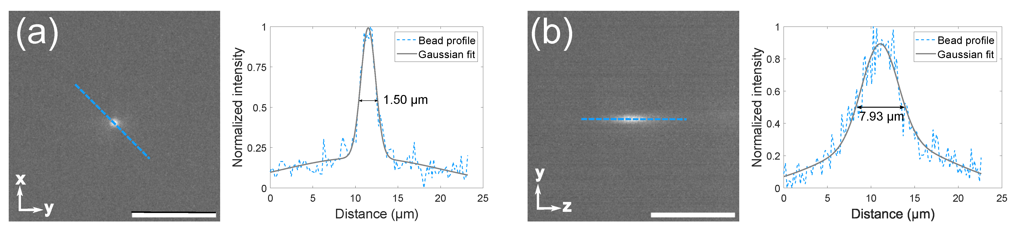 Biosensors 12 01110 g002