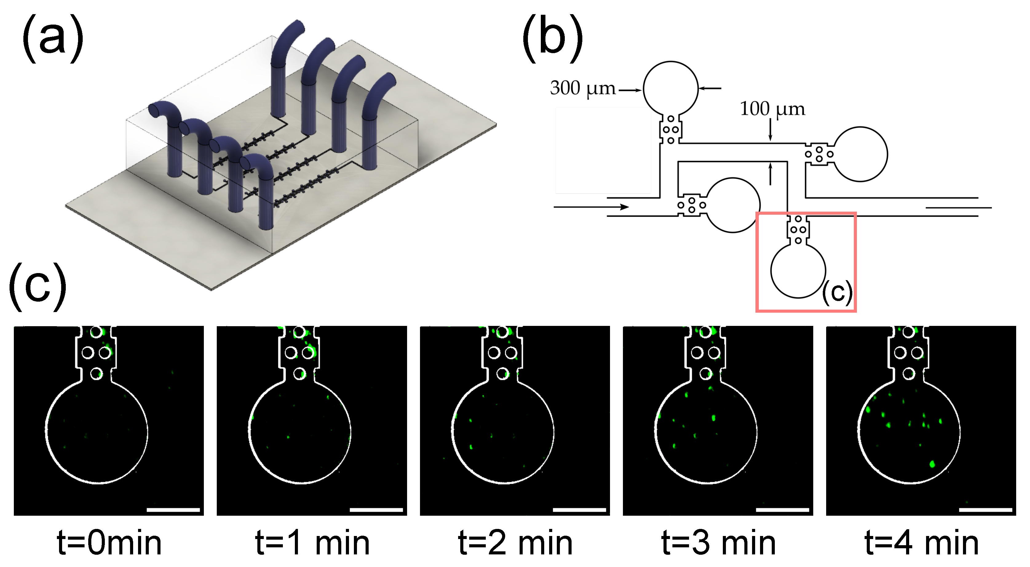 Biosensors 12 01110 g005